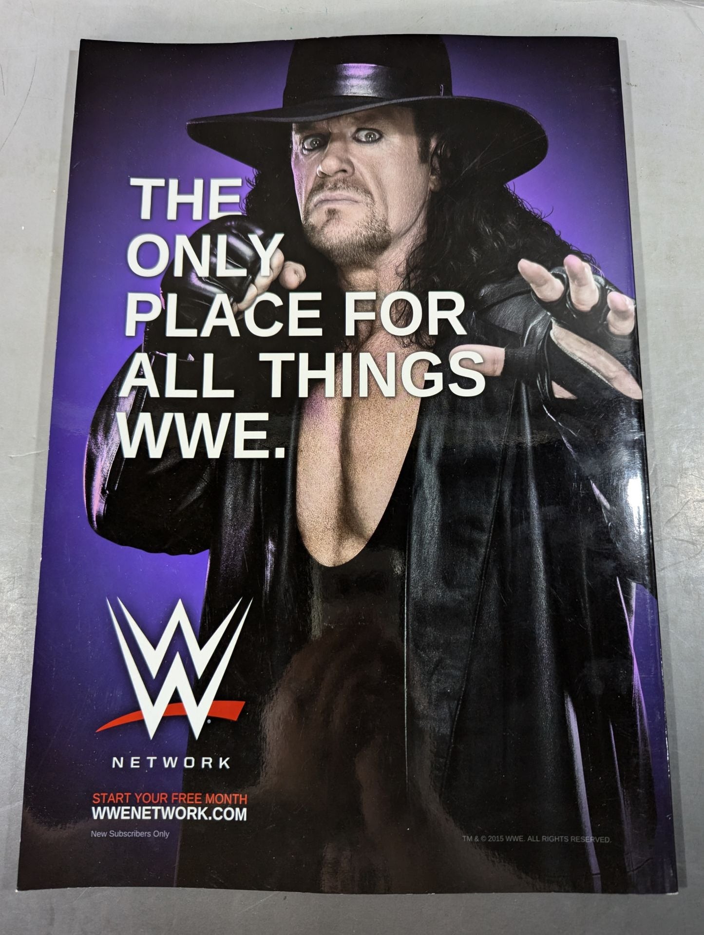 WWE OFFICIAL PROGRAM 2015