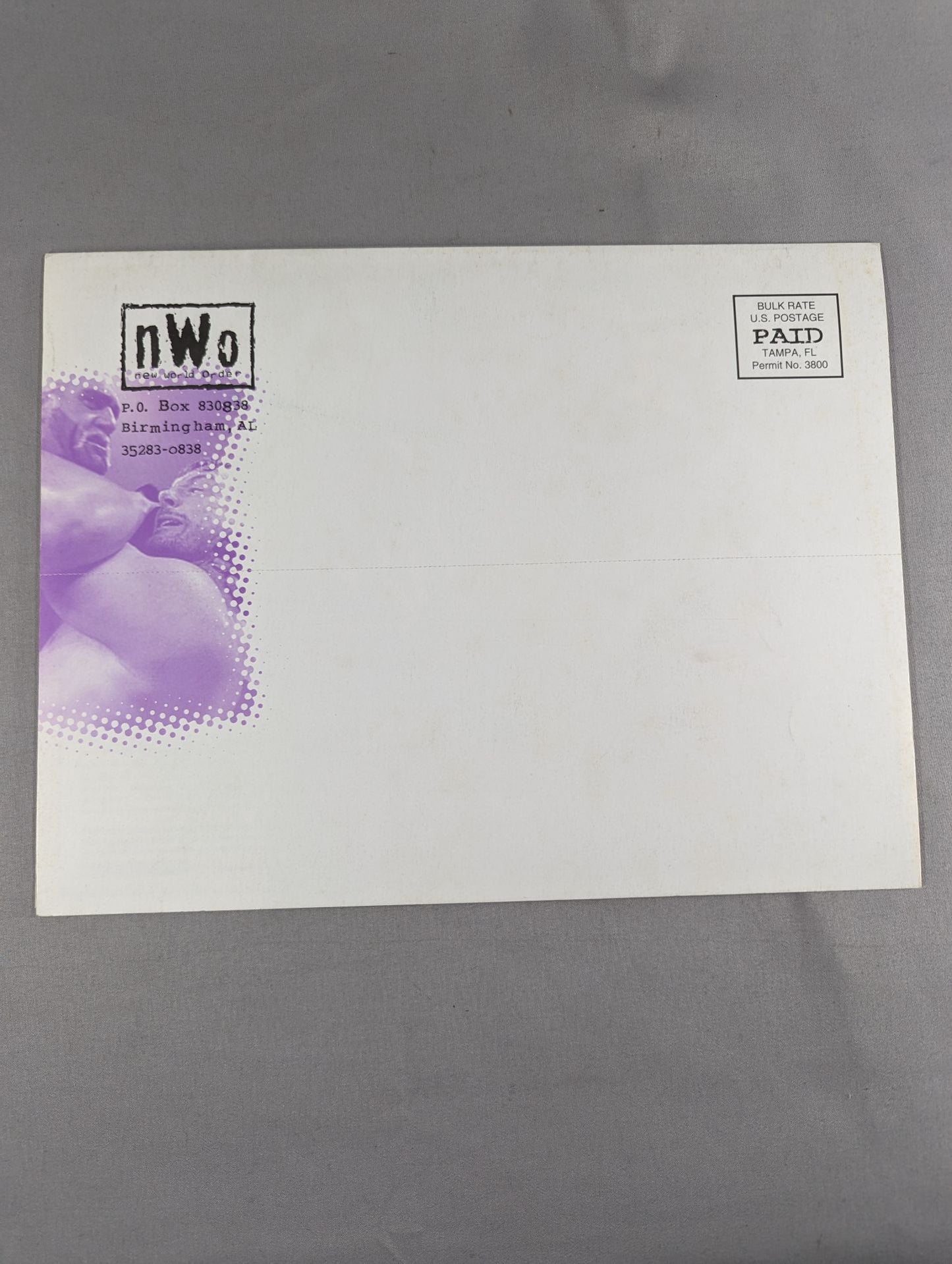 nWo グッズ紹介パンフレット