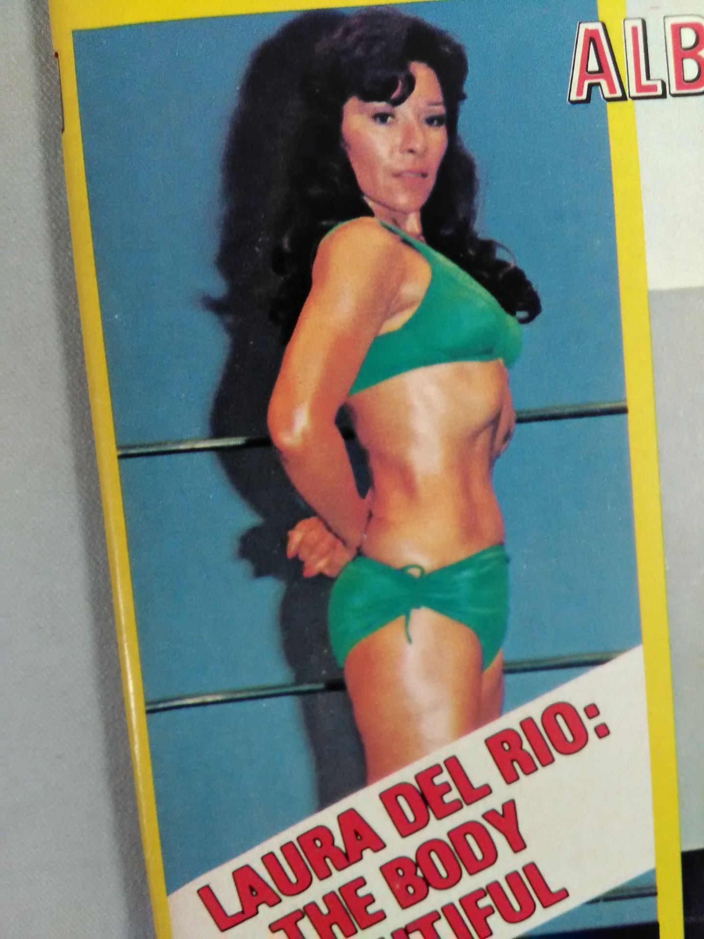 Wrestling REVUE 1977-06
