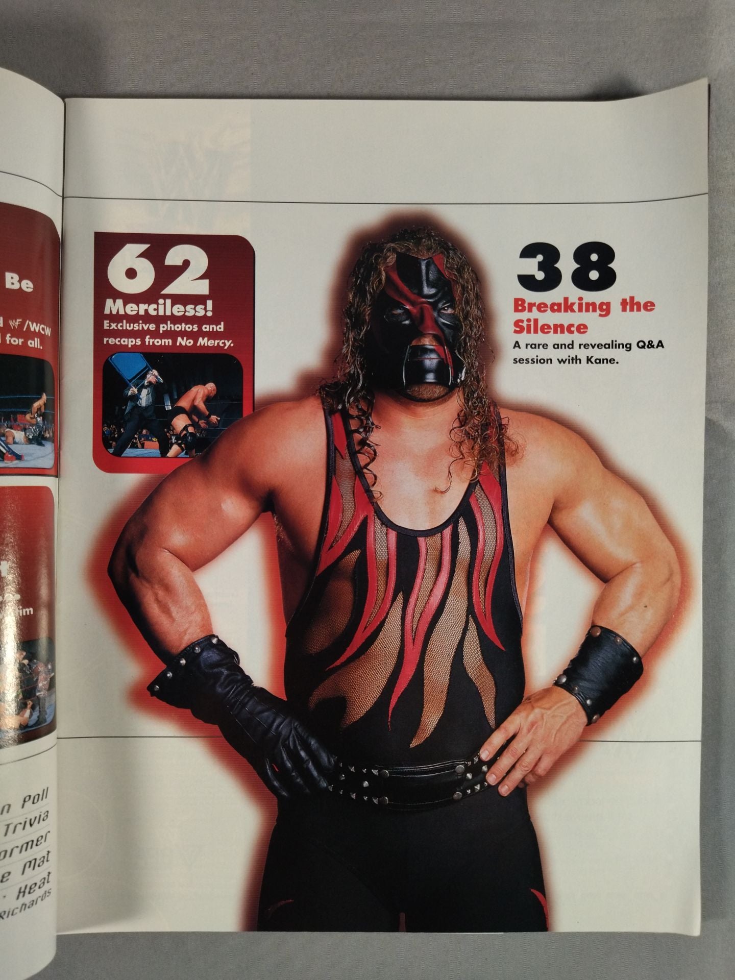 WWF MAGAZINE January 2002