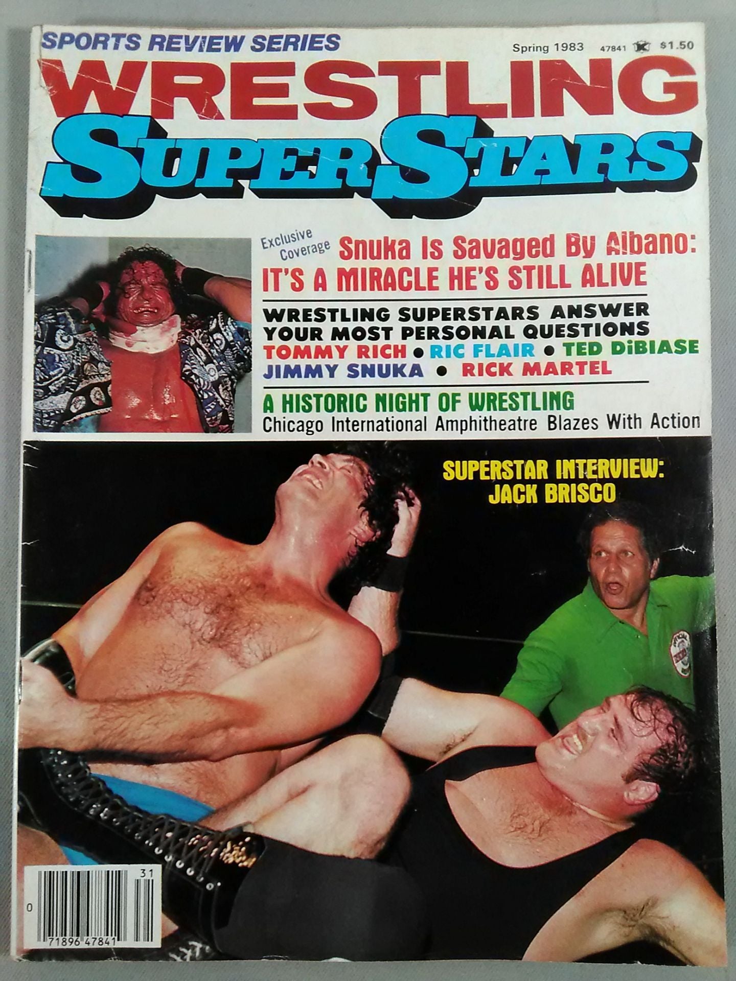 WRESTLING SUPER STARS 1983年春号