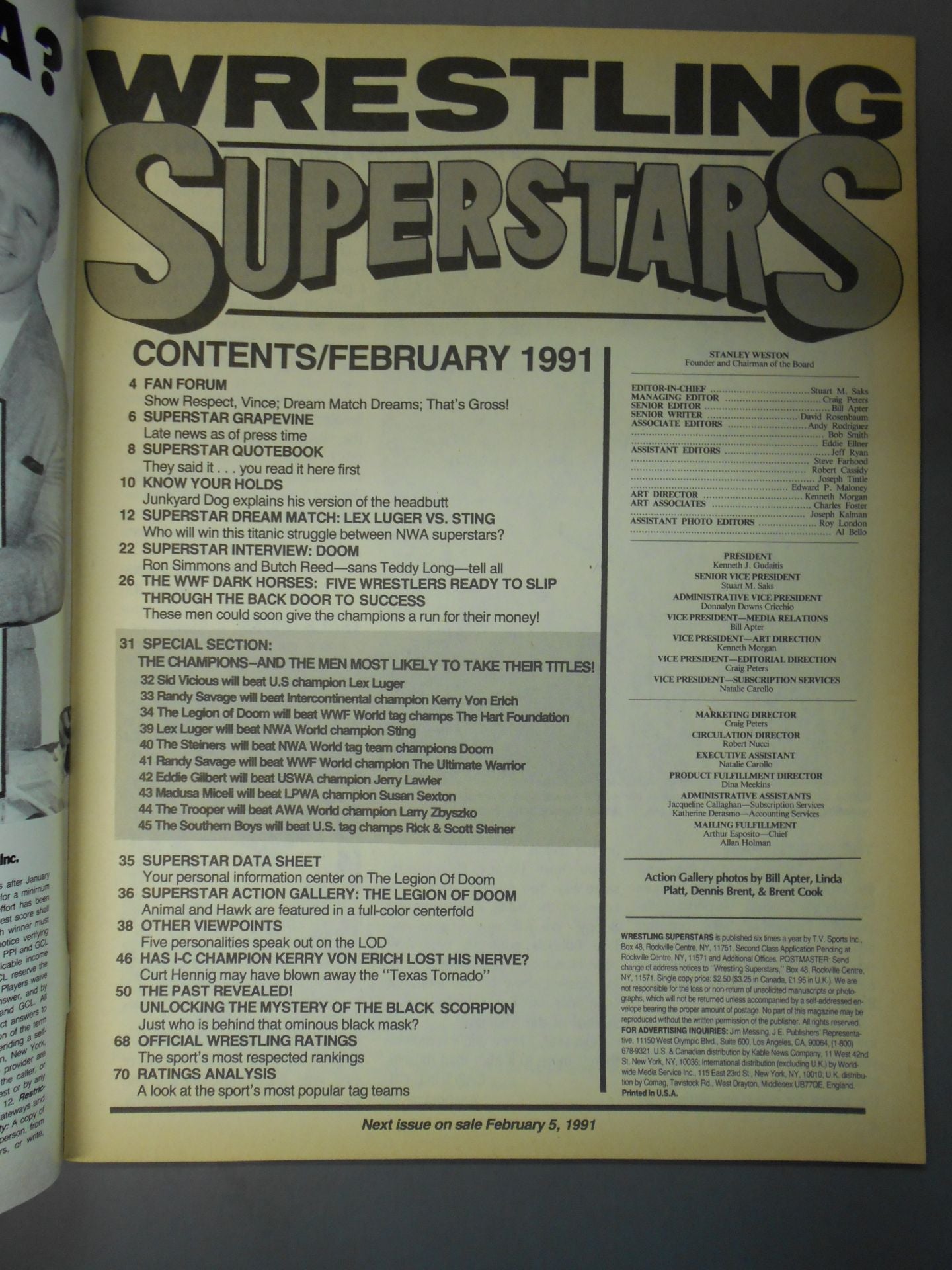 WRESTLING SUPER STARS 1991年02月号