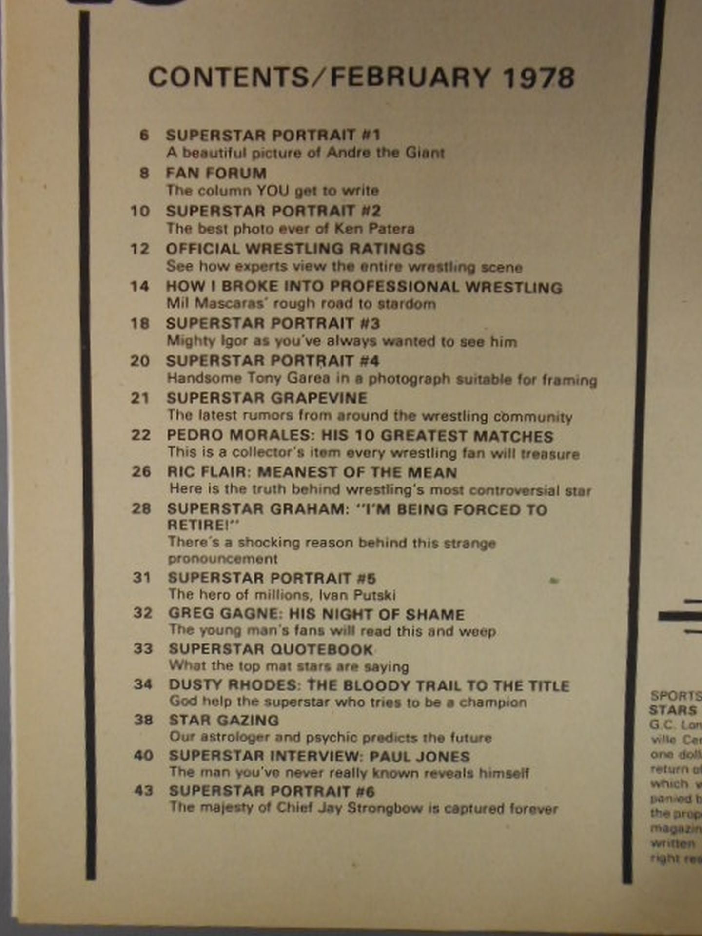 WRESTLING SUPER STARS 1978年02月号