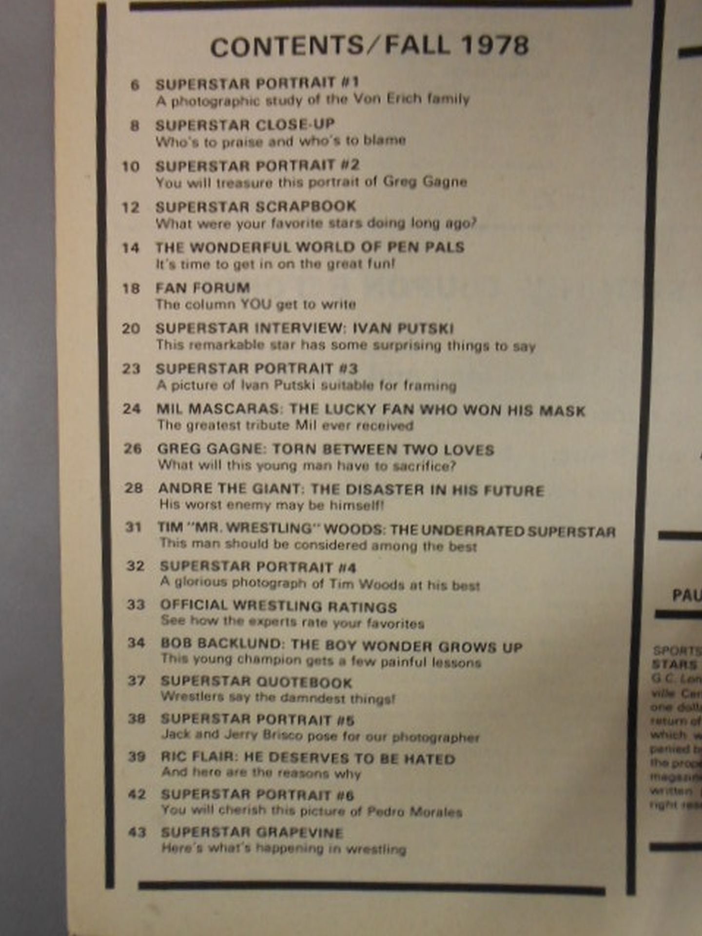 WRESTLING SUPER STARS 1978年秋号