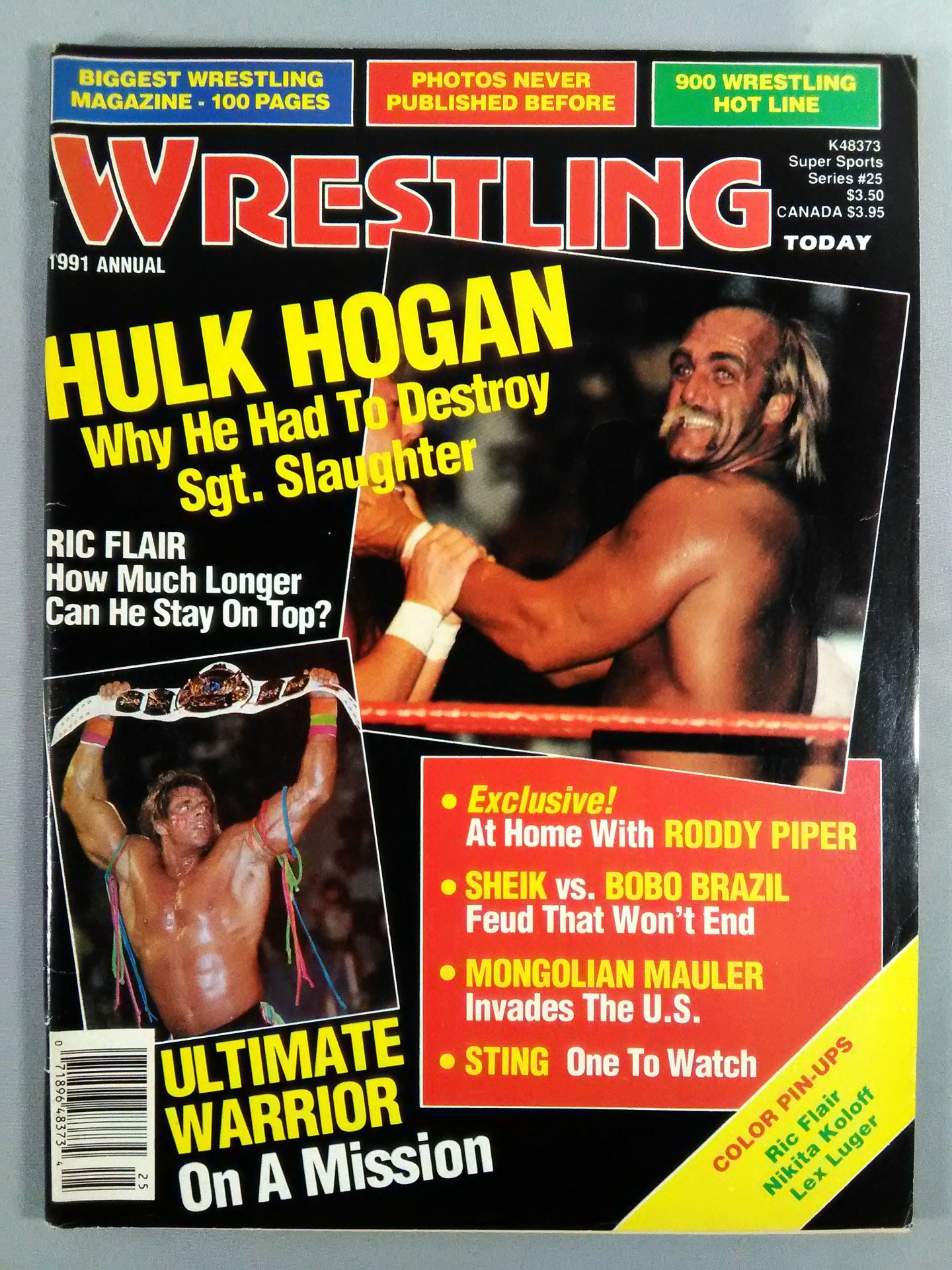 WRESTLING TODAY 1991年 ANNUAL #25