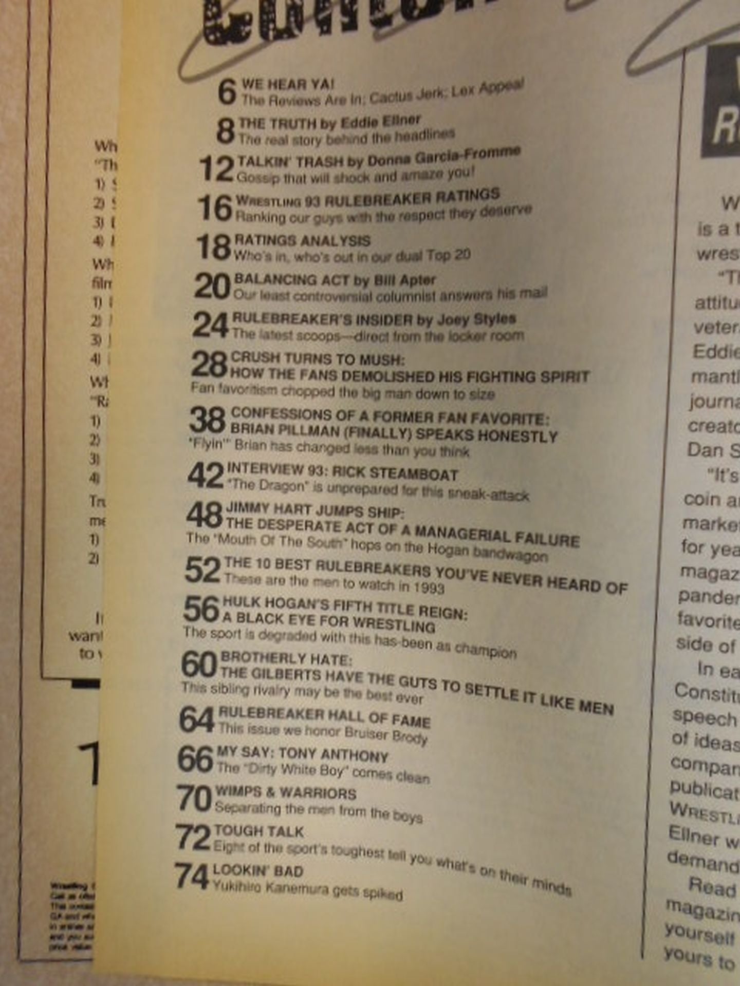 Wrestling93 1993年夏号