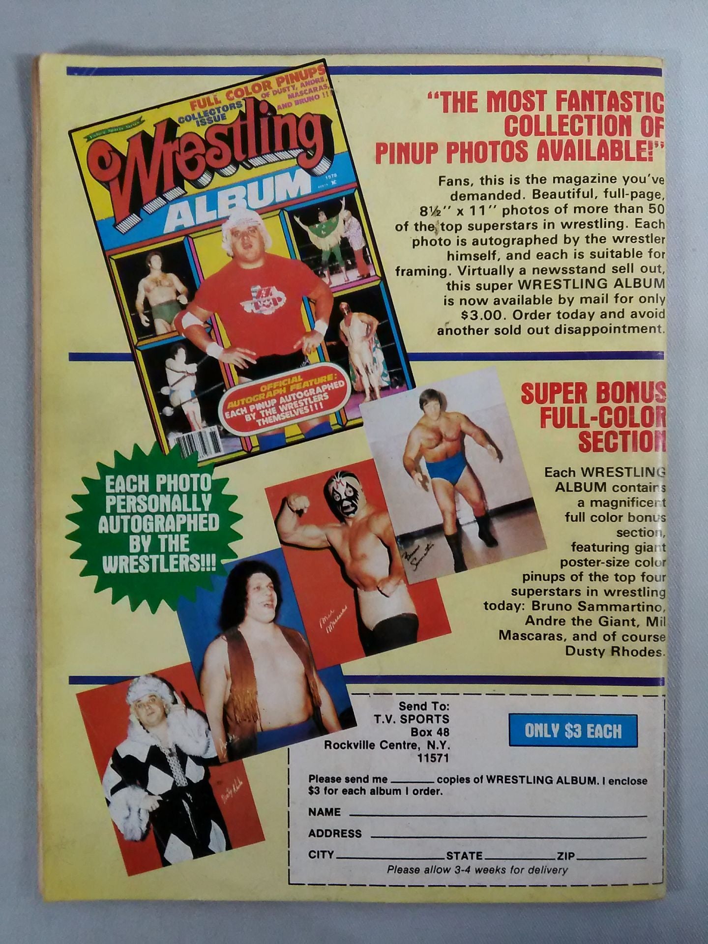 SPORTS REVIEW SERIES Wrestling PICTURE BOOK 1980年春季号
