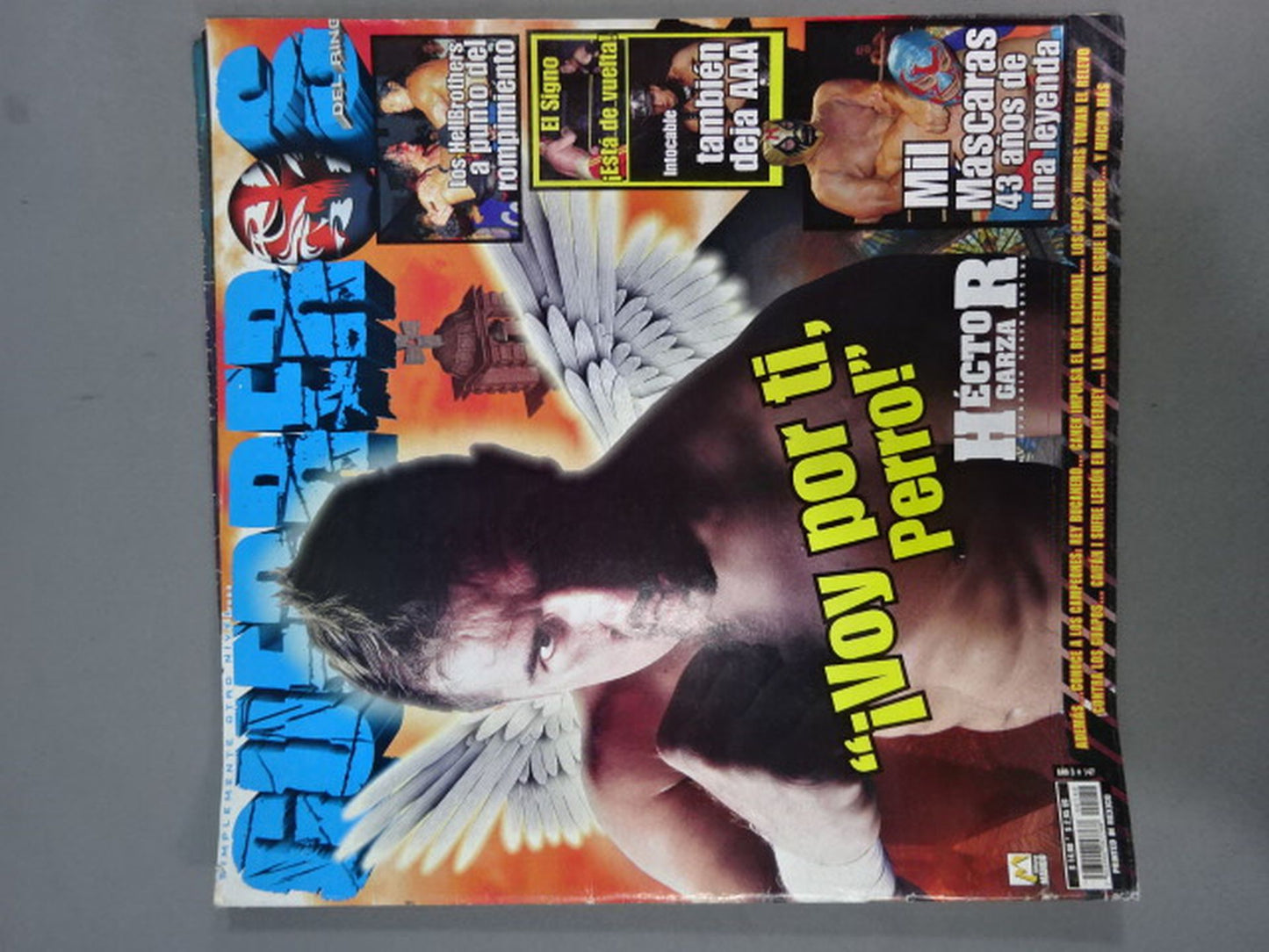 GUERREROS DEL RING No.147