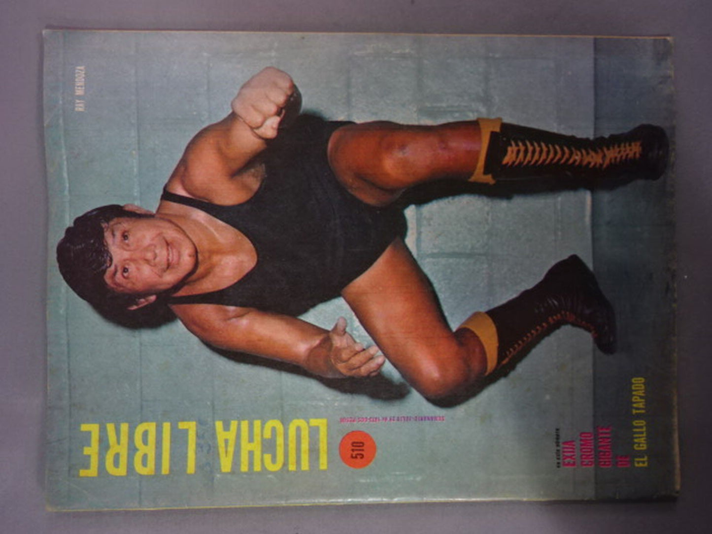 LUCHA LIBRE No.510