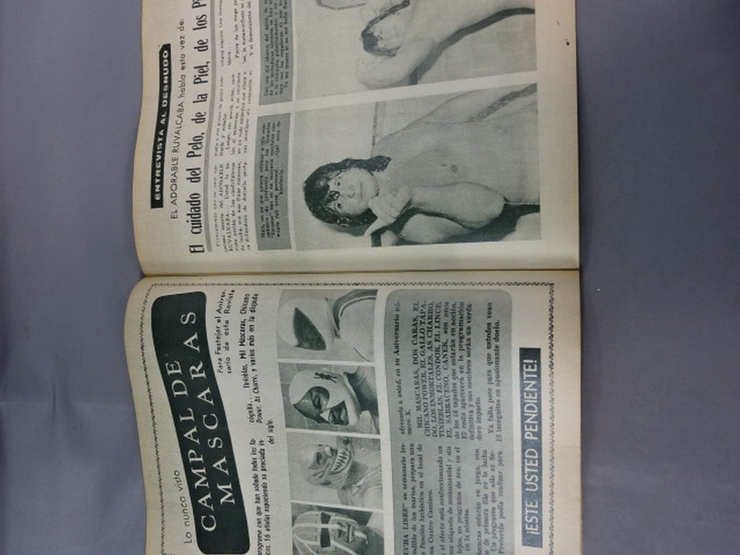 LUCHA LIBRE No.510