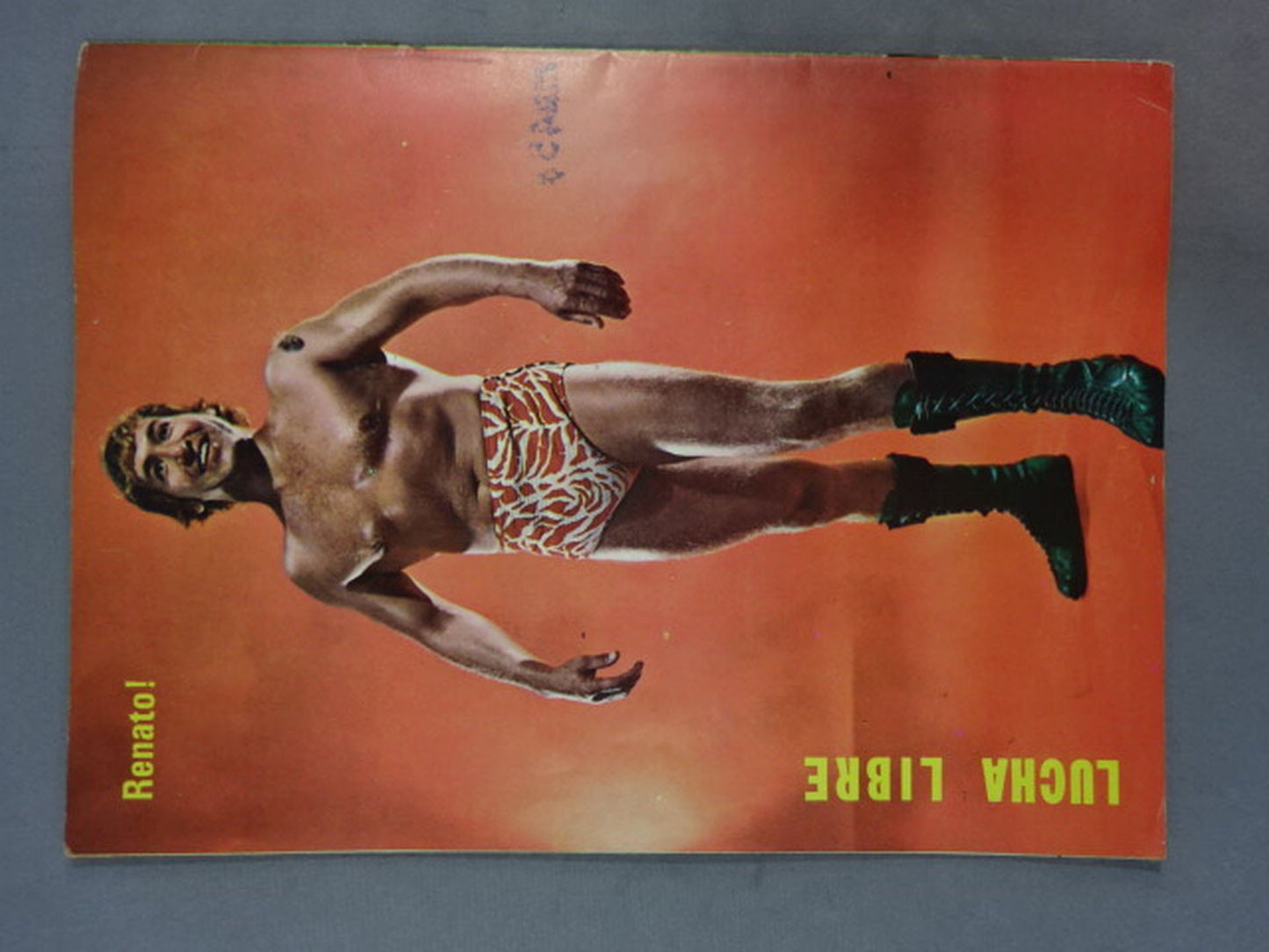 LUCHA LIBRE No.582