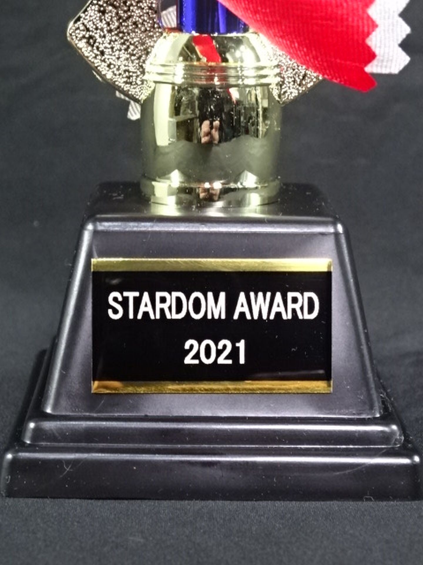 ★STARDOM AWARD 2021★ レプリカ記念トロフィー