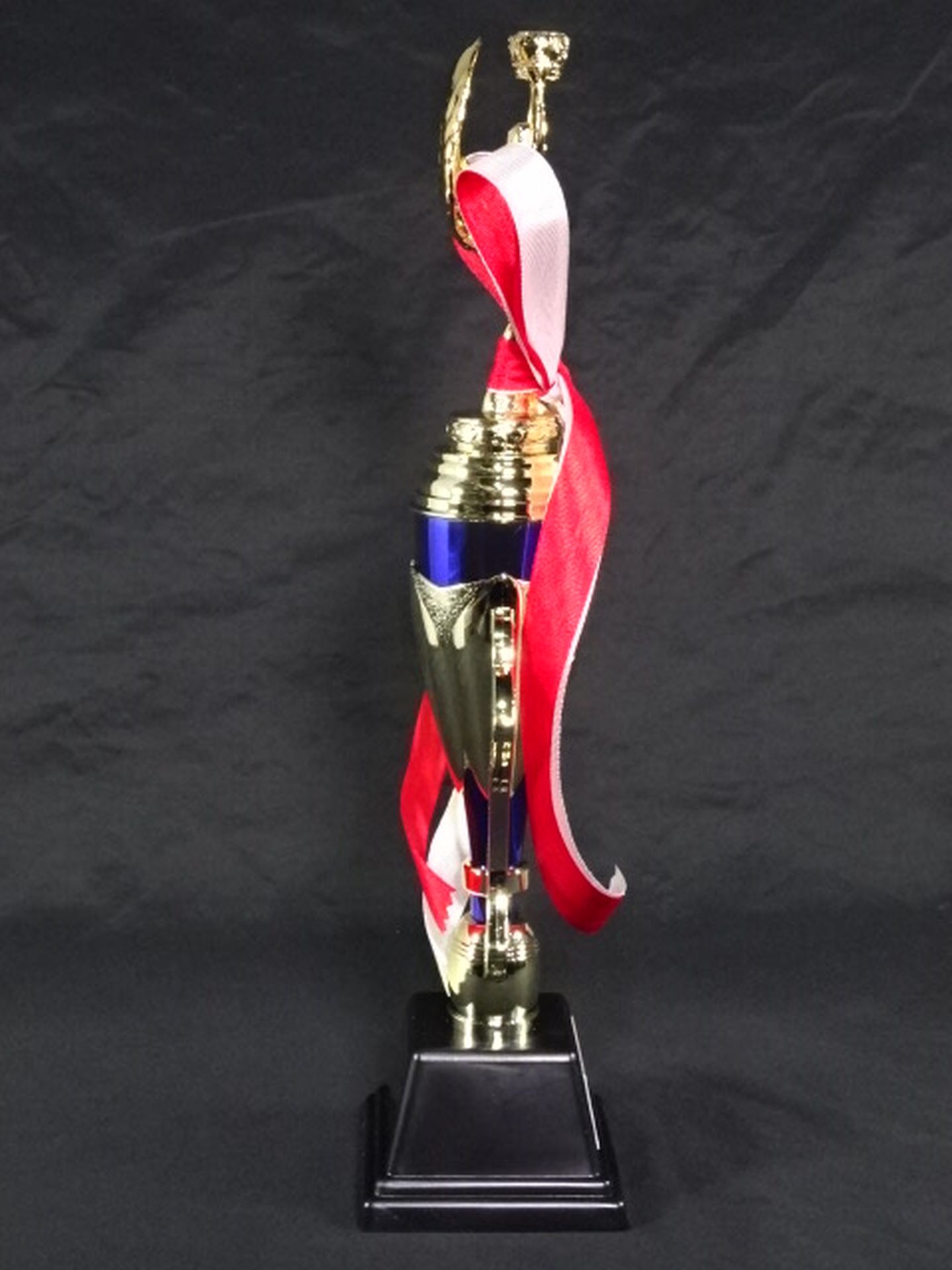★STARDOM AWARD 2021★ レプリカ記念トロフィー