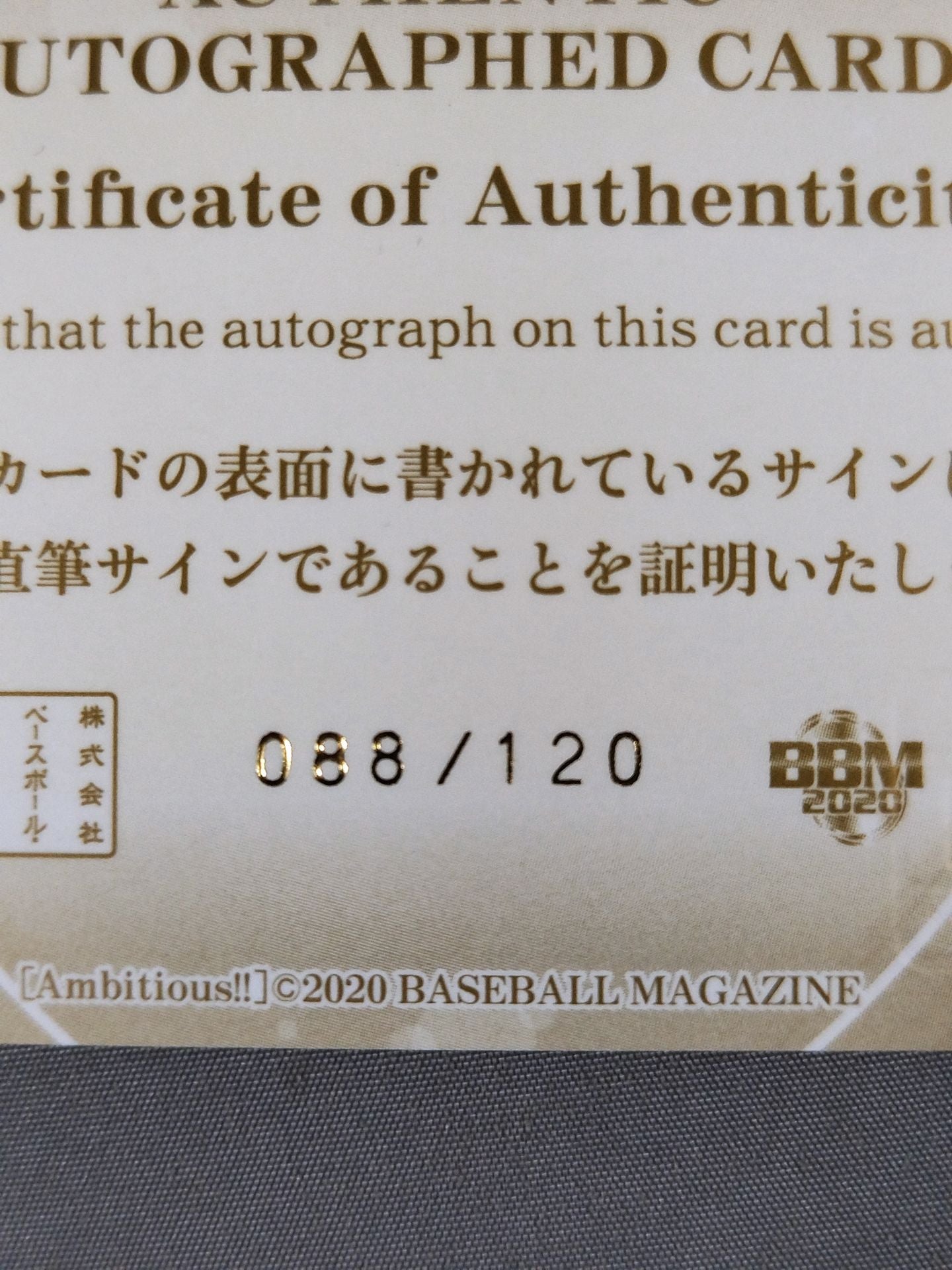 2020 BBM トトロさつき 公式サインカード
