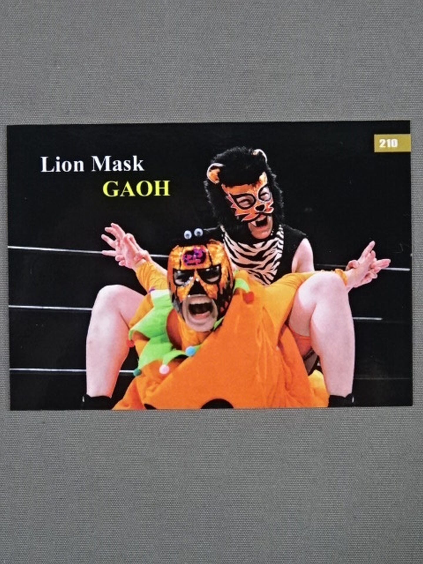 2019 STARDOM COLLECTION CARD 小野崎玲皇(牙皇) 公式サインカード
