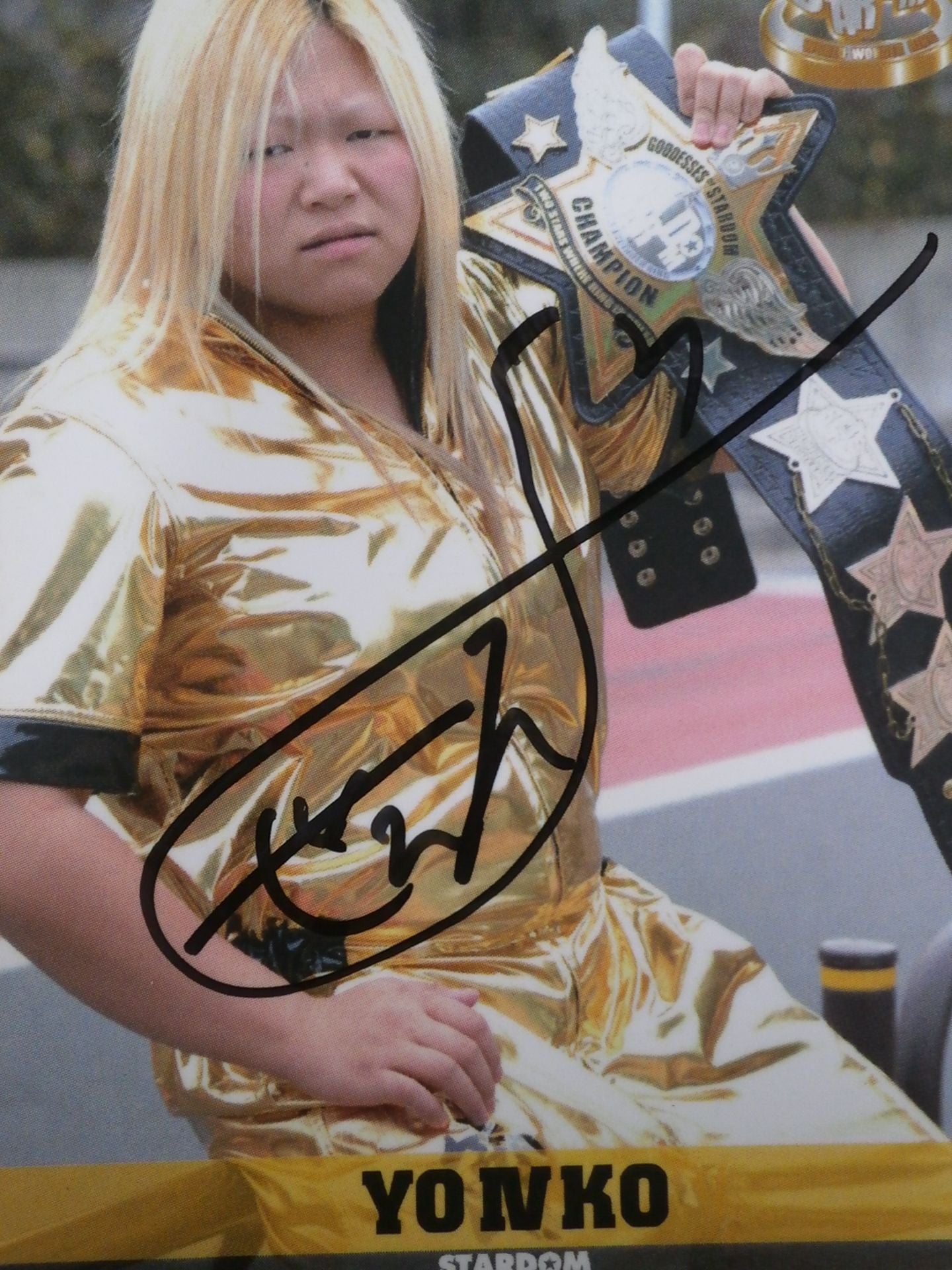 STARDOM 世Ⅳ虎 イベント限定 サインカード