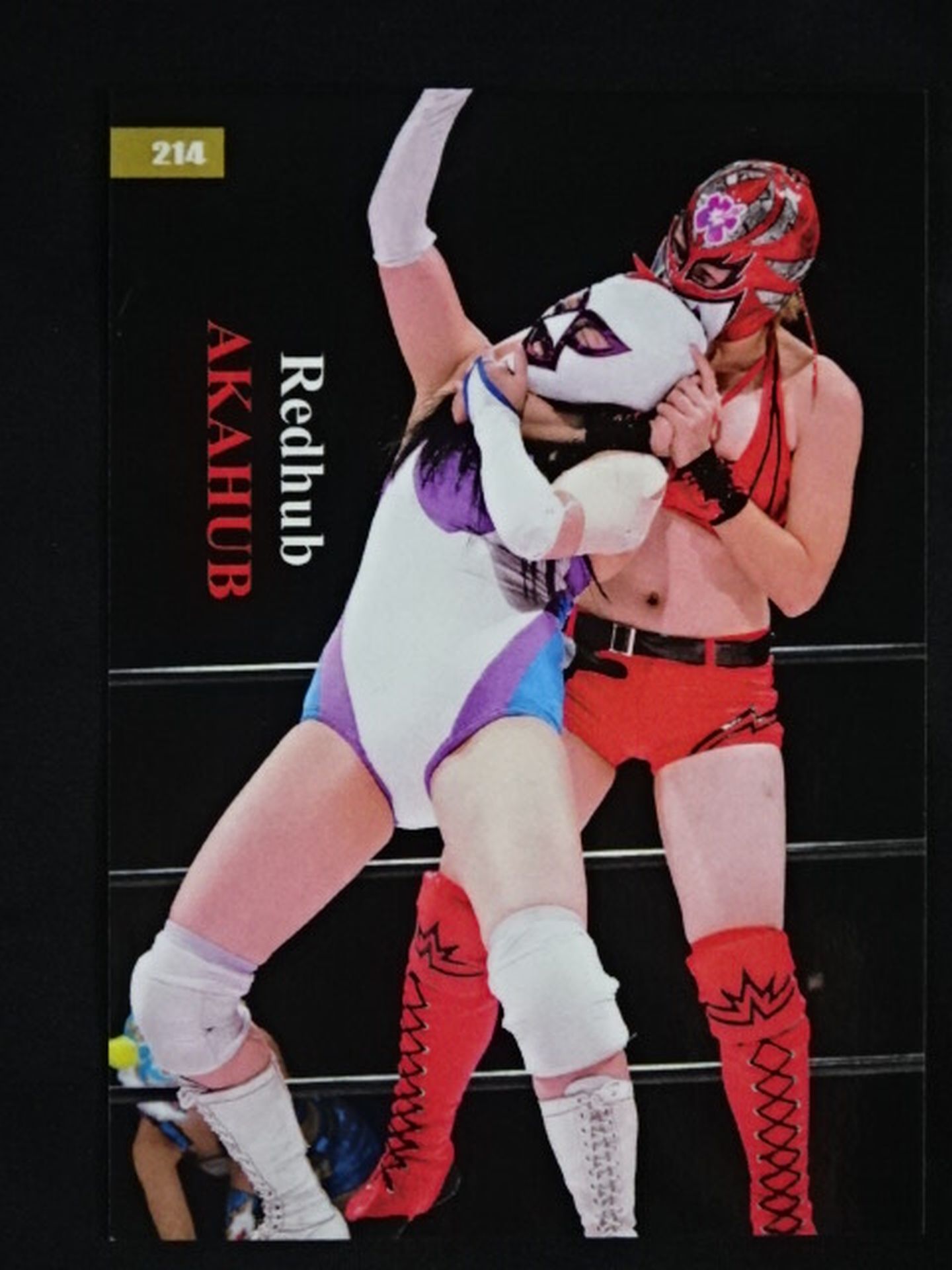 2019 STARDOM COLLECTION CARD Utami Hayashishita (Red Hub) Official autographed card