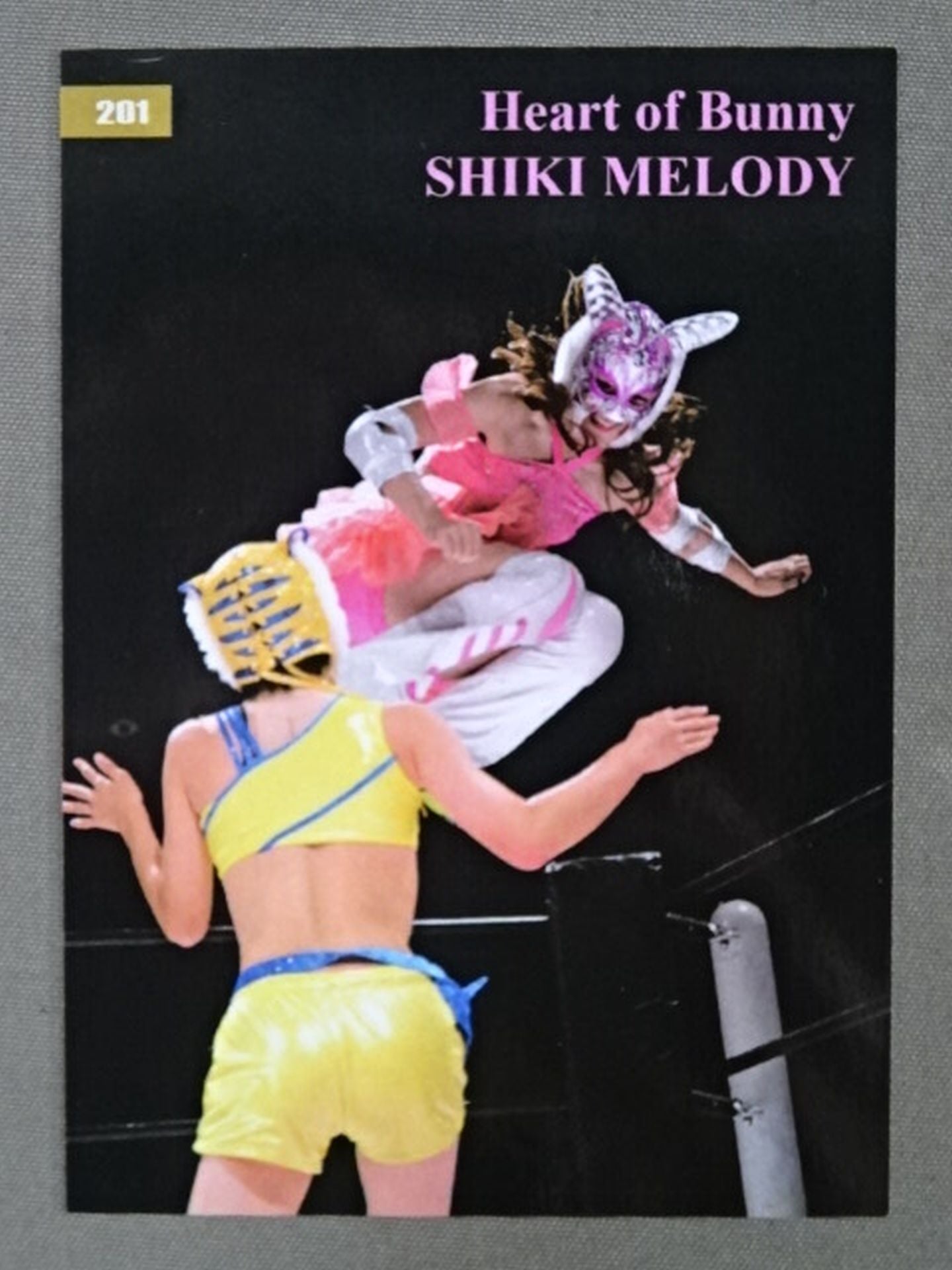 2019 STARDOM COLLECTION CARD 渋沢四季(シキメロディ) 公式サインカード