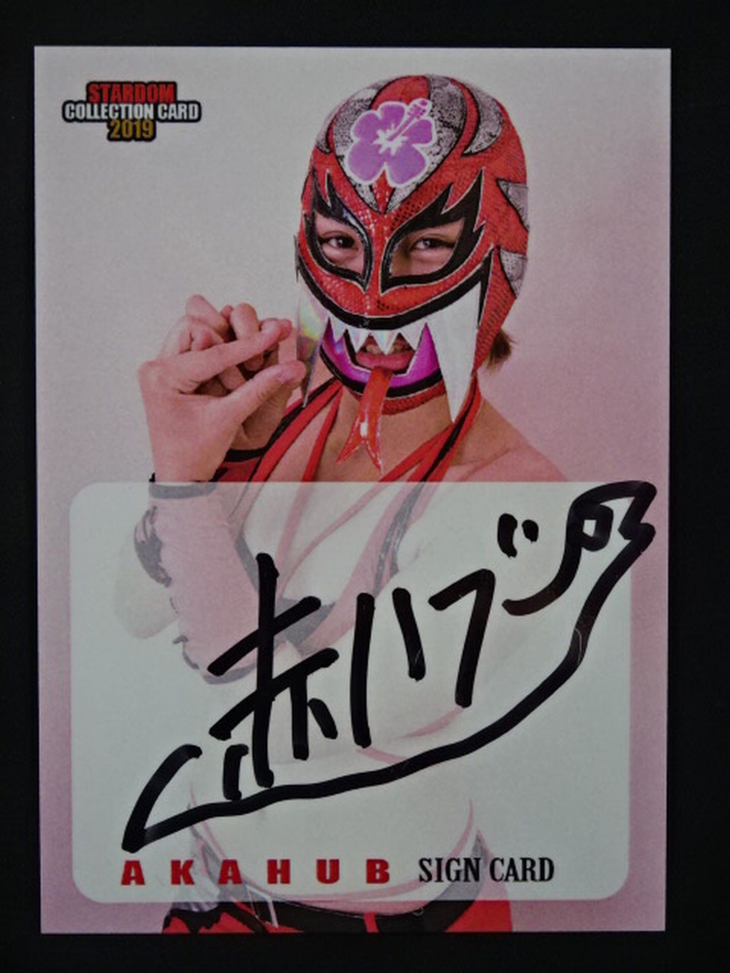 2019 STARDOM COLLECTION CARD Utami Hayashishita (Red Hub) Official autographed card