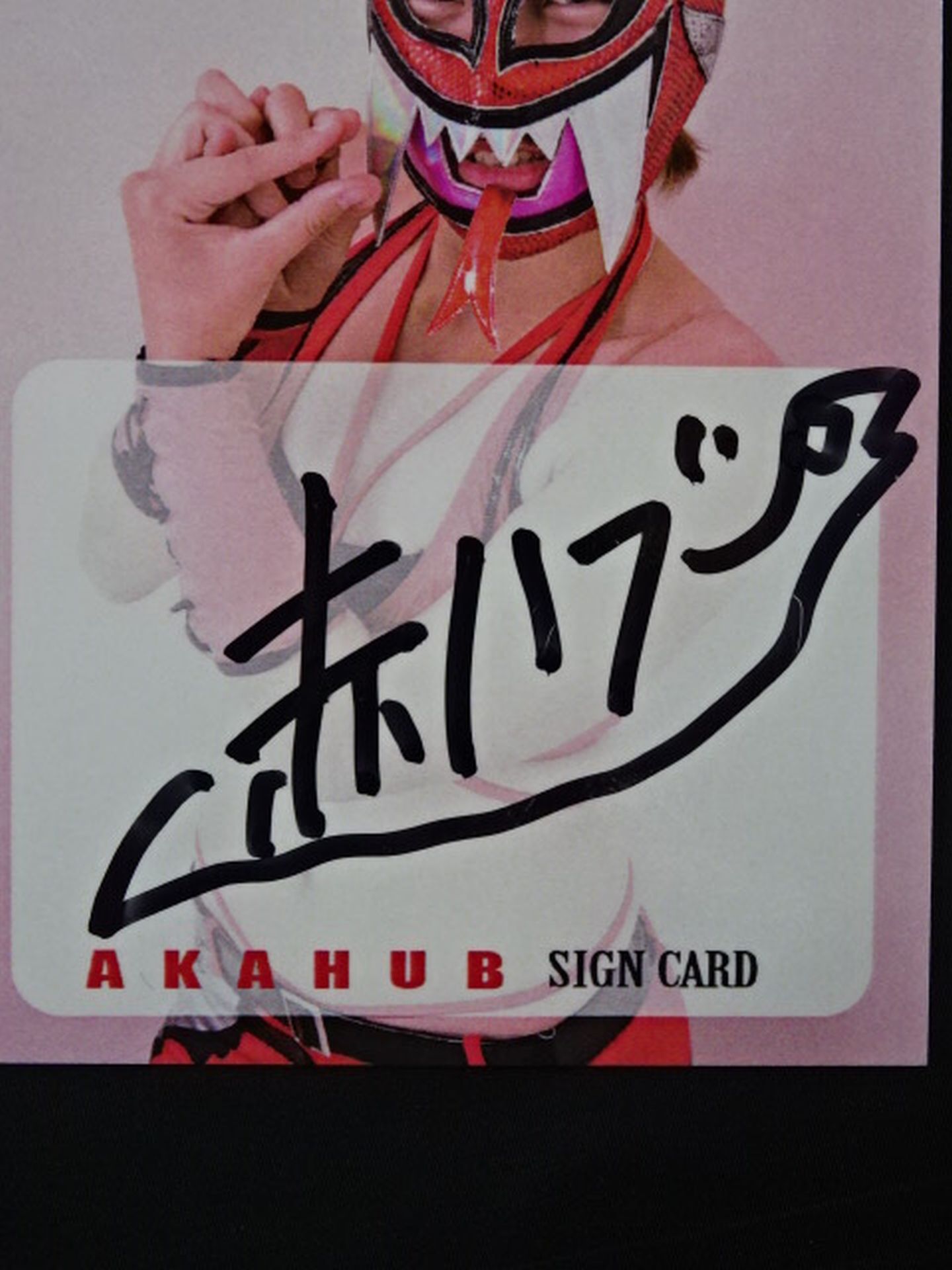 2019 STARDOM COLLECTION CARD Utami Hayashishita (Red Hub) Official autographed card