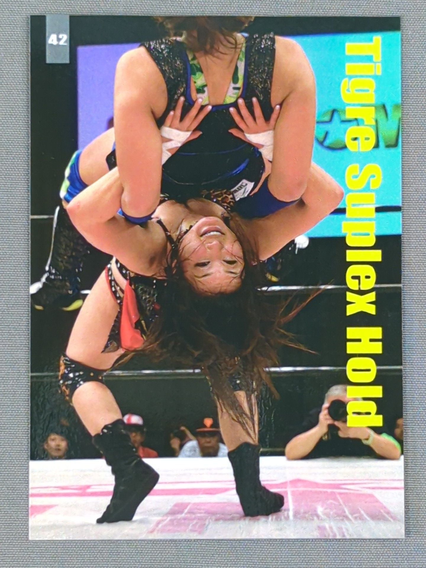 2018 IO SHIRAI MEMORIAL COLLECTION CARD 紫雷イオ(42)