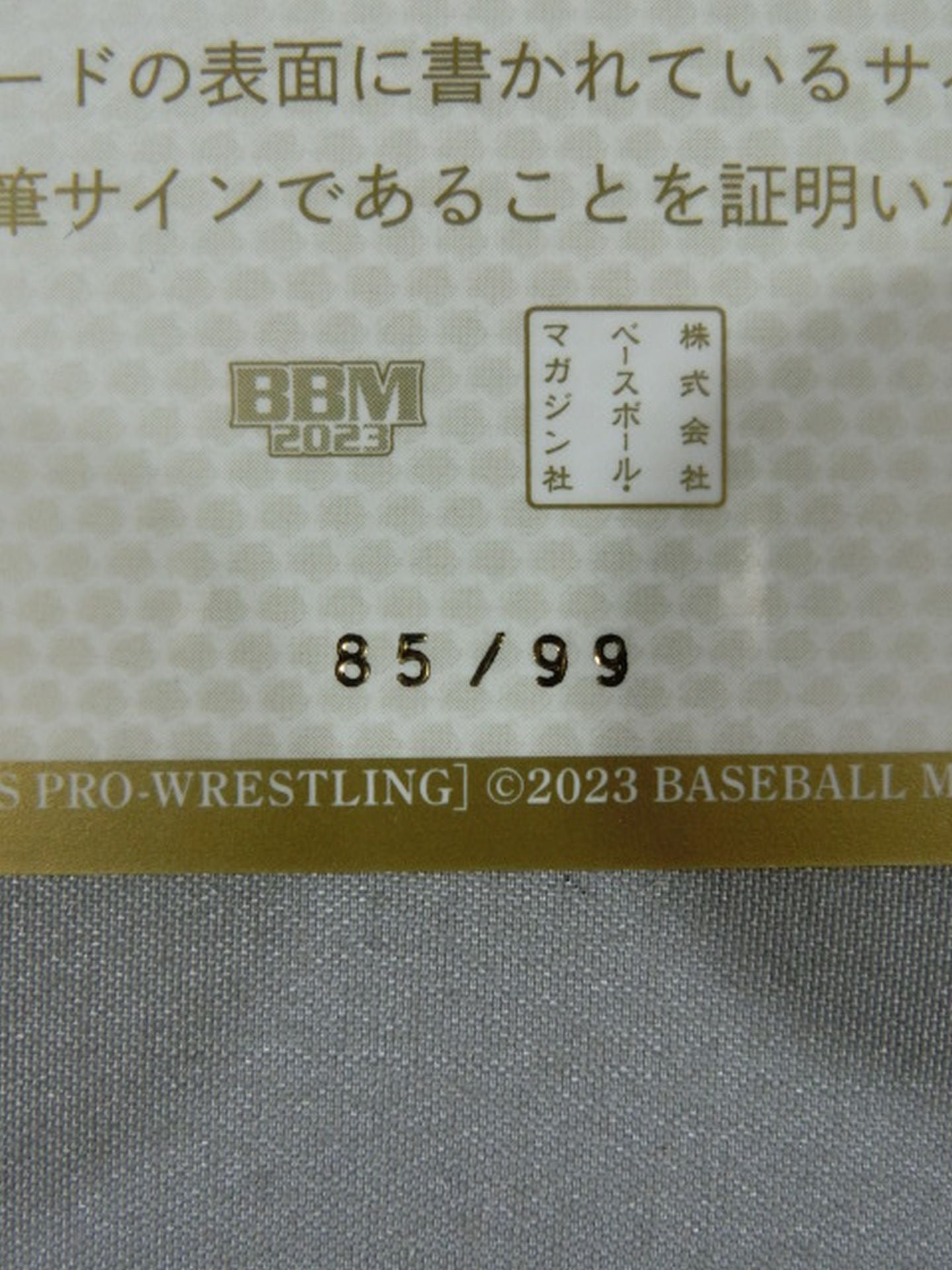 2023 BBM 関口翔 公式サインカード