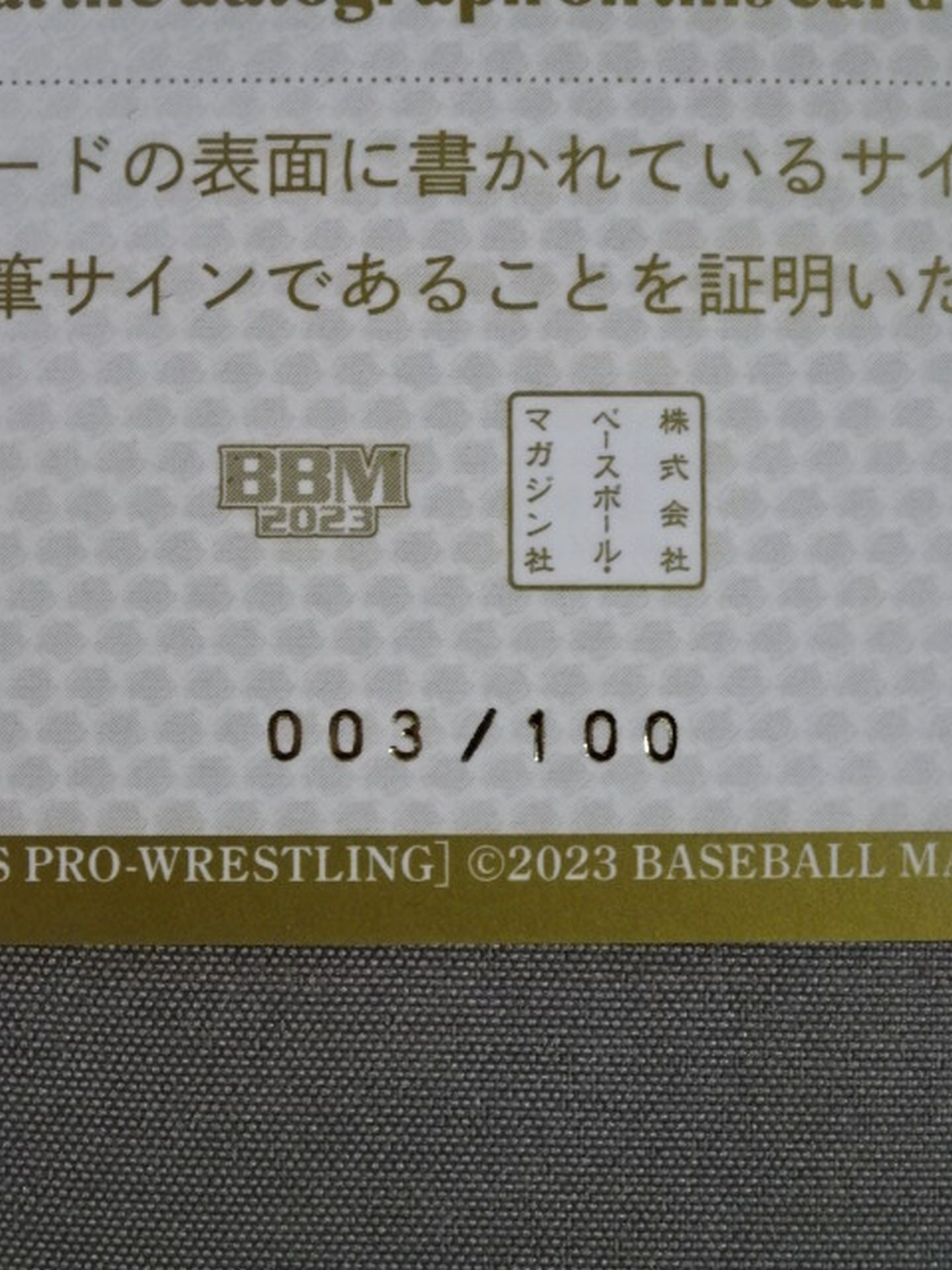 2023 BBM 辰巳リカ 公式サインカード