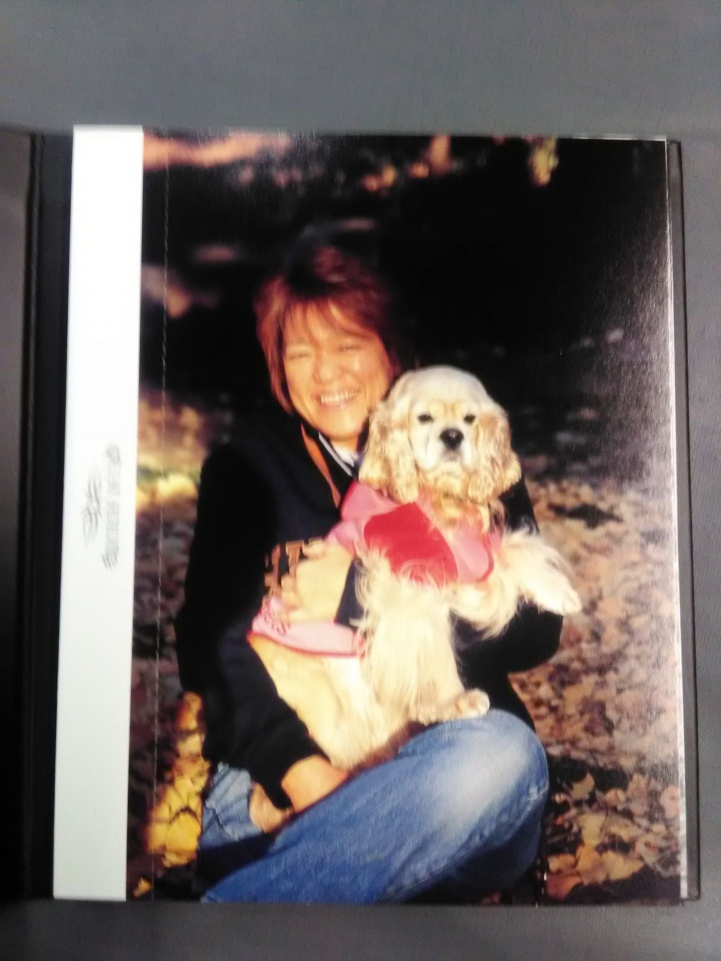 LIONESS ASKA post card FINAL