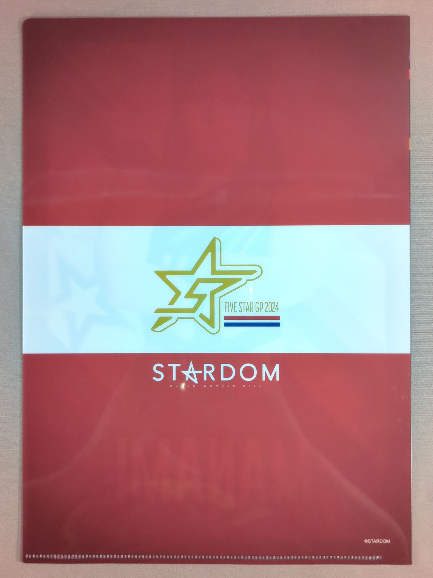 愛海 5★STAR GP 2024 クリアファイル