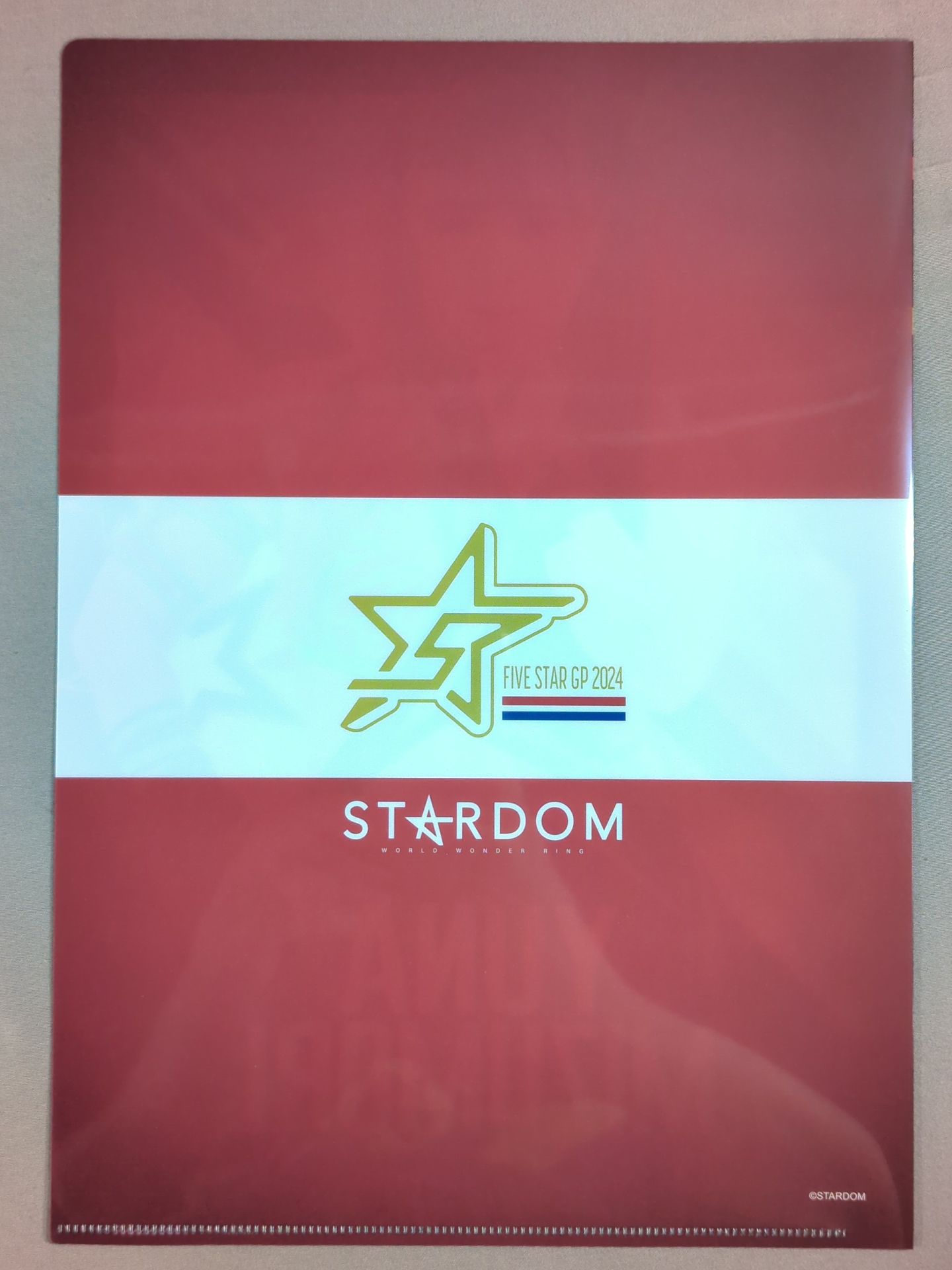 Yuna Mizumori 5★STAR GP 2024 plastic file folder