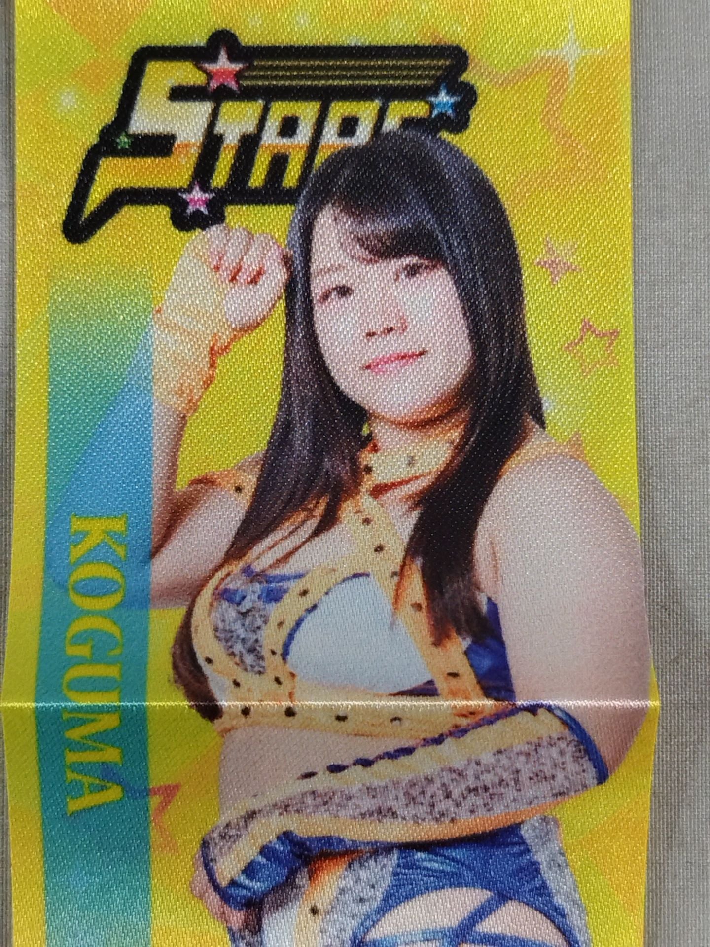 コグマ スターダム ミニタペストリー