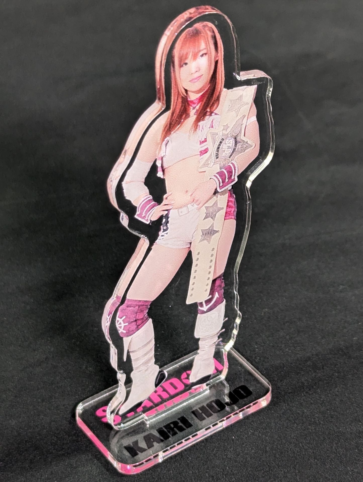 Kairi Hojo Acrylic Figure Sheet 2016