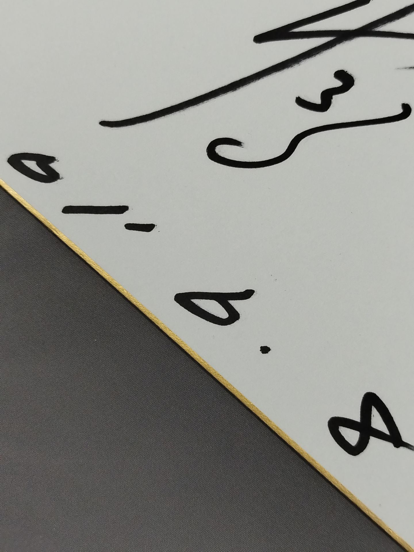 白鳥智香子(フライヤー貼付)