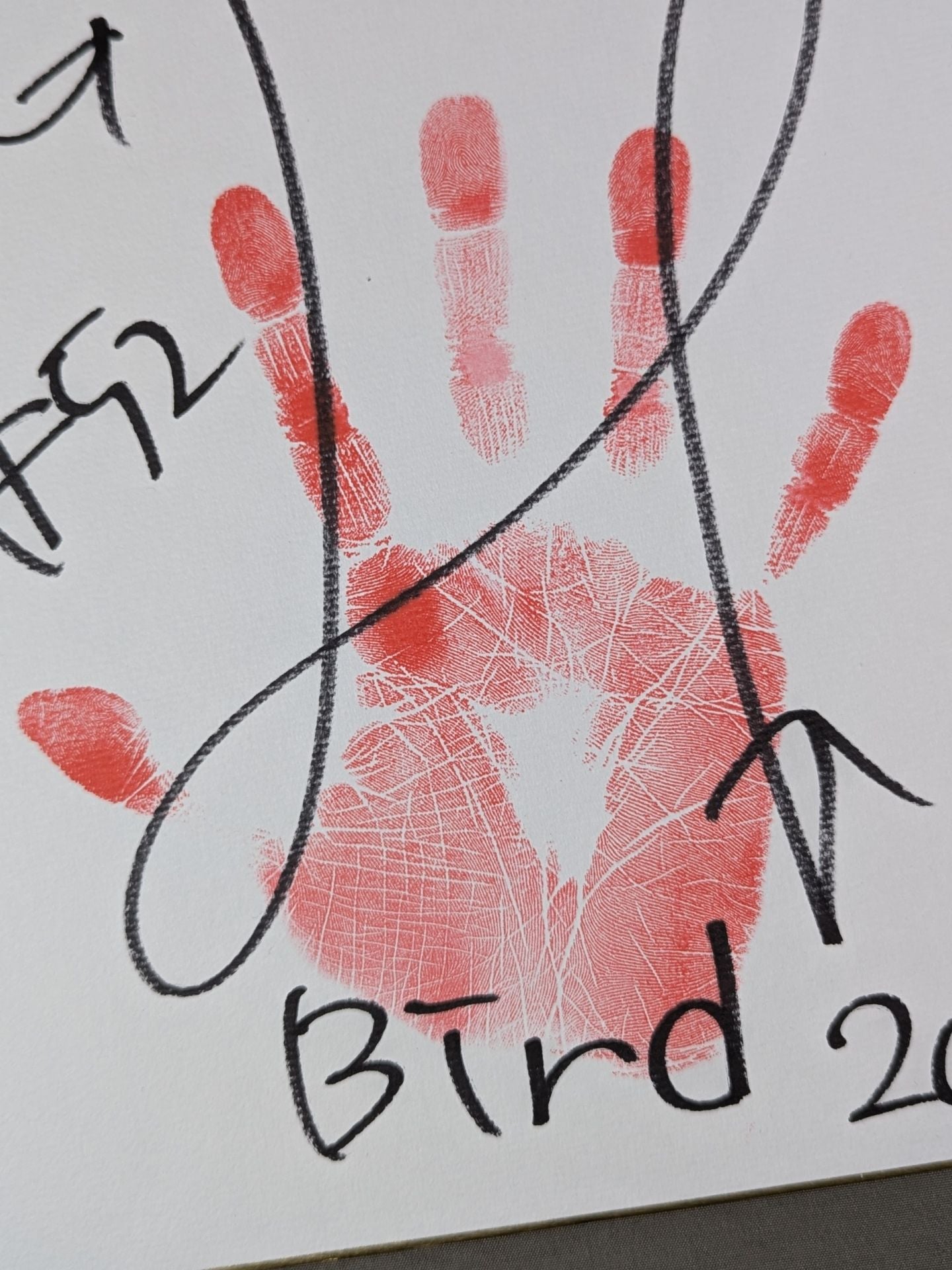 Hummingbird (with handprint )