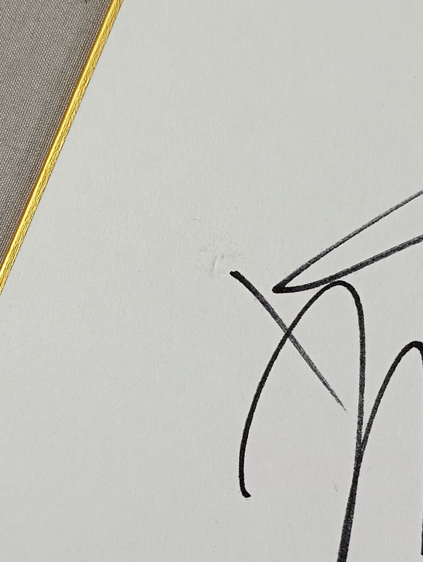 Maria Kenneris (King of Pro-wrestling only) Shikishi ( Autograph board ) )