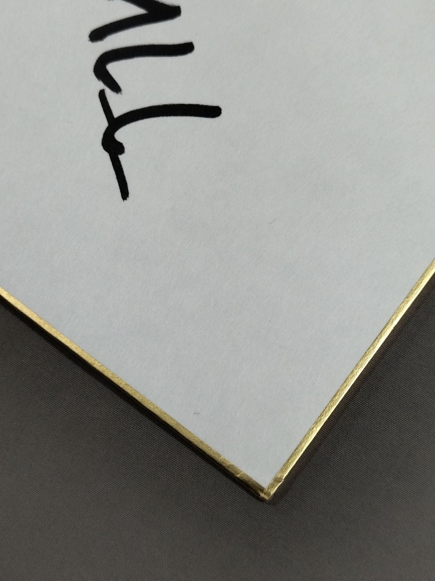 チカ・トルメンタ&セウシス&バケリータ