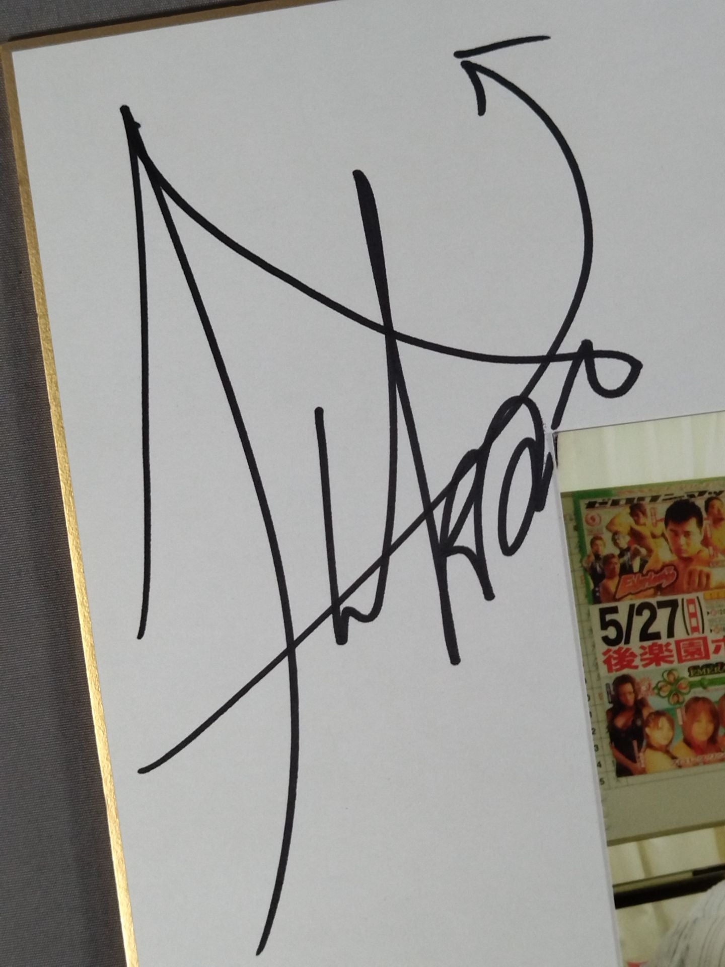 Pro-wrestling SUN 4 fighters photo paste)