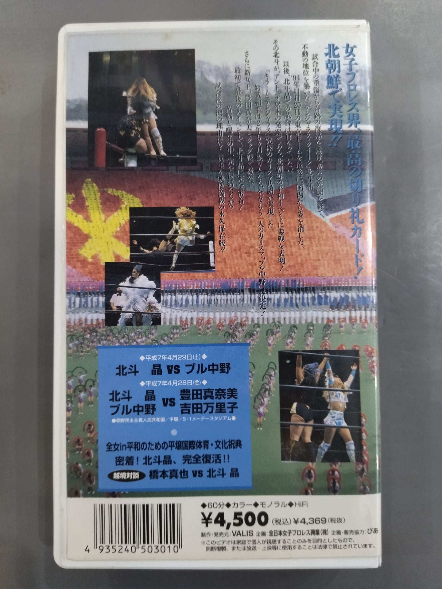 Soul of the North Star