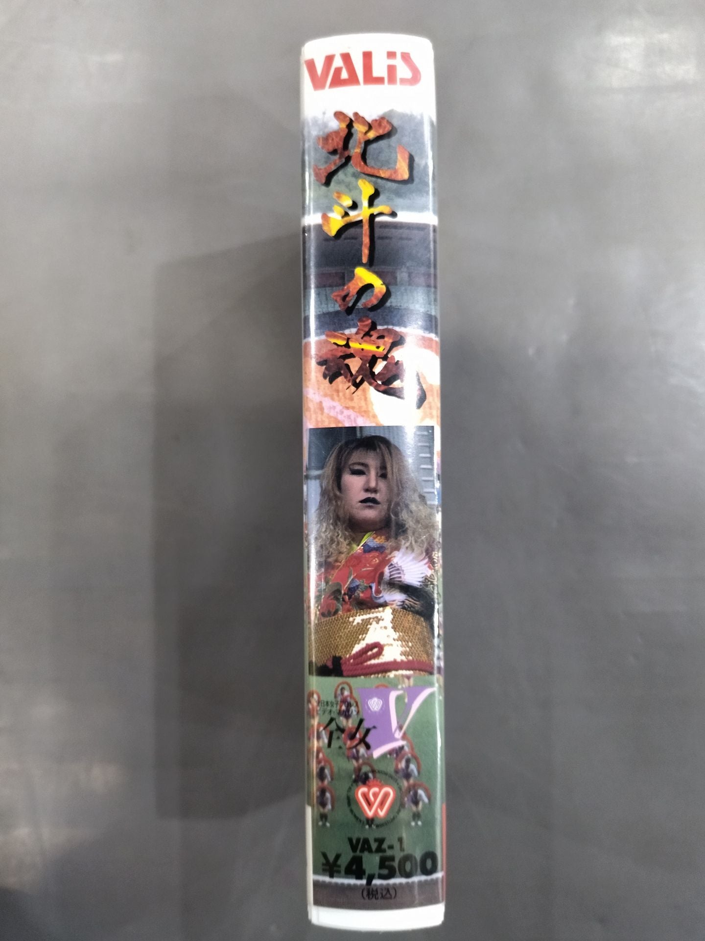 Soul of the North Star