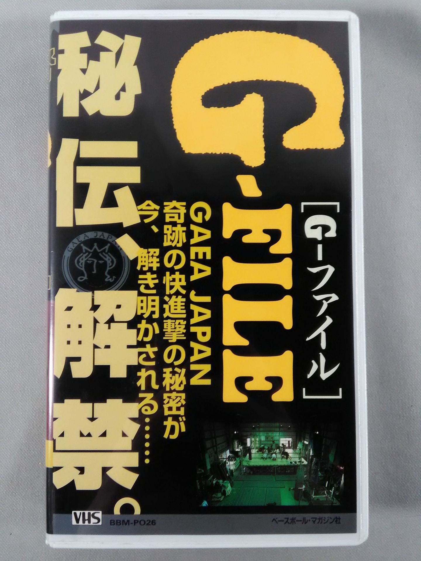 G-FILE Weekly Pro Wrestling Video Special Issue Vol.26