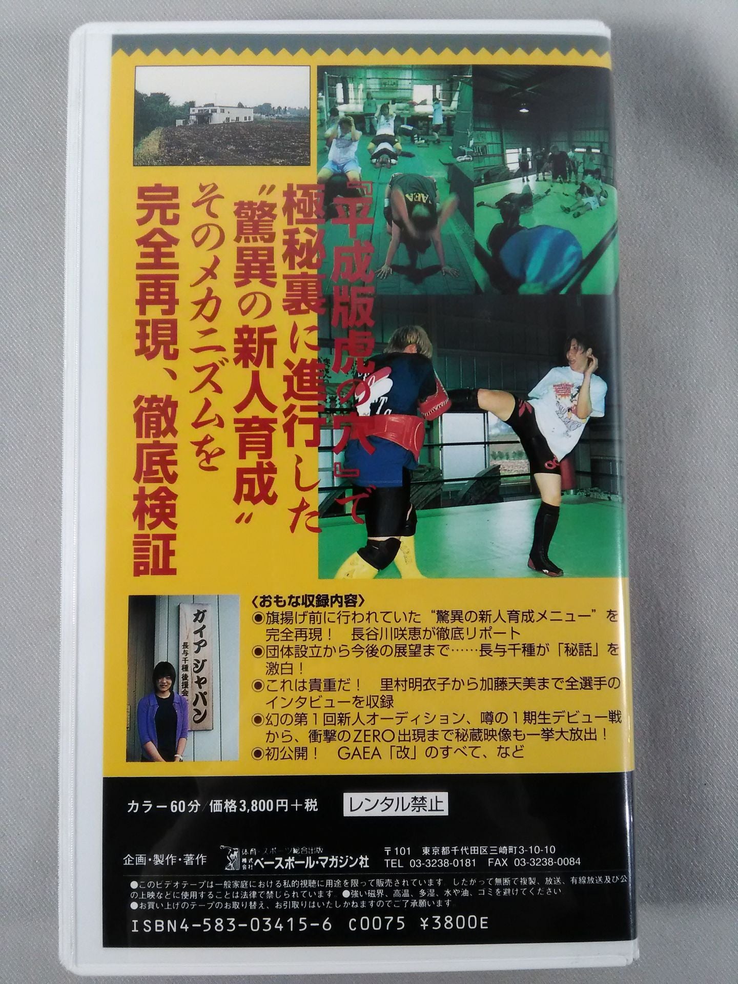 G-FILE Weekly Pro Wrestling Video Special Issue Vol.26