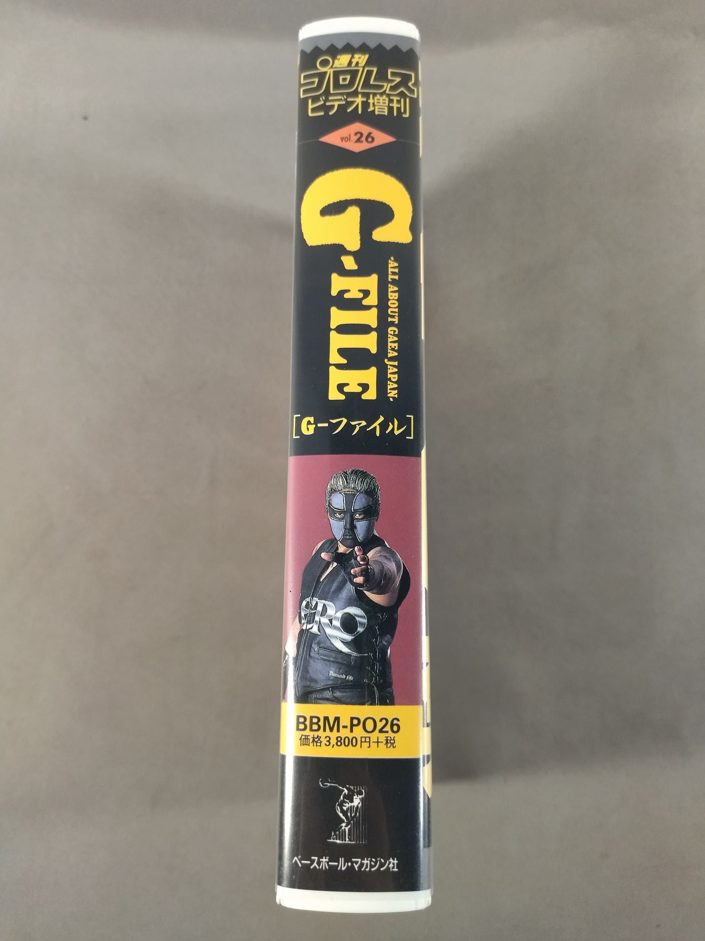 G-FILE Weekly Pro Wrestling Video Special Issue Vol.26
