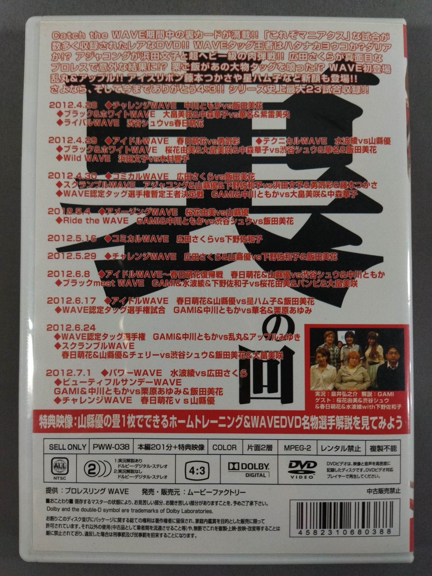 Pro-wrestling WAVE Maniacs 15 / 2012.4.28-2012.7.1