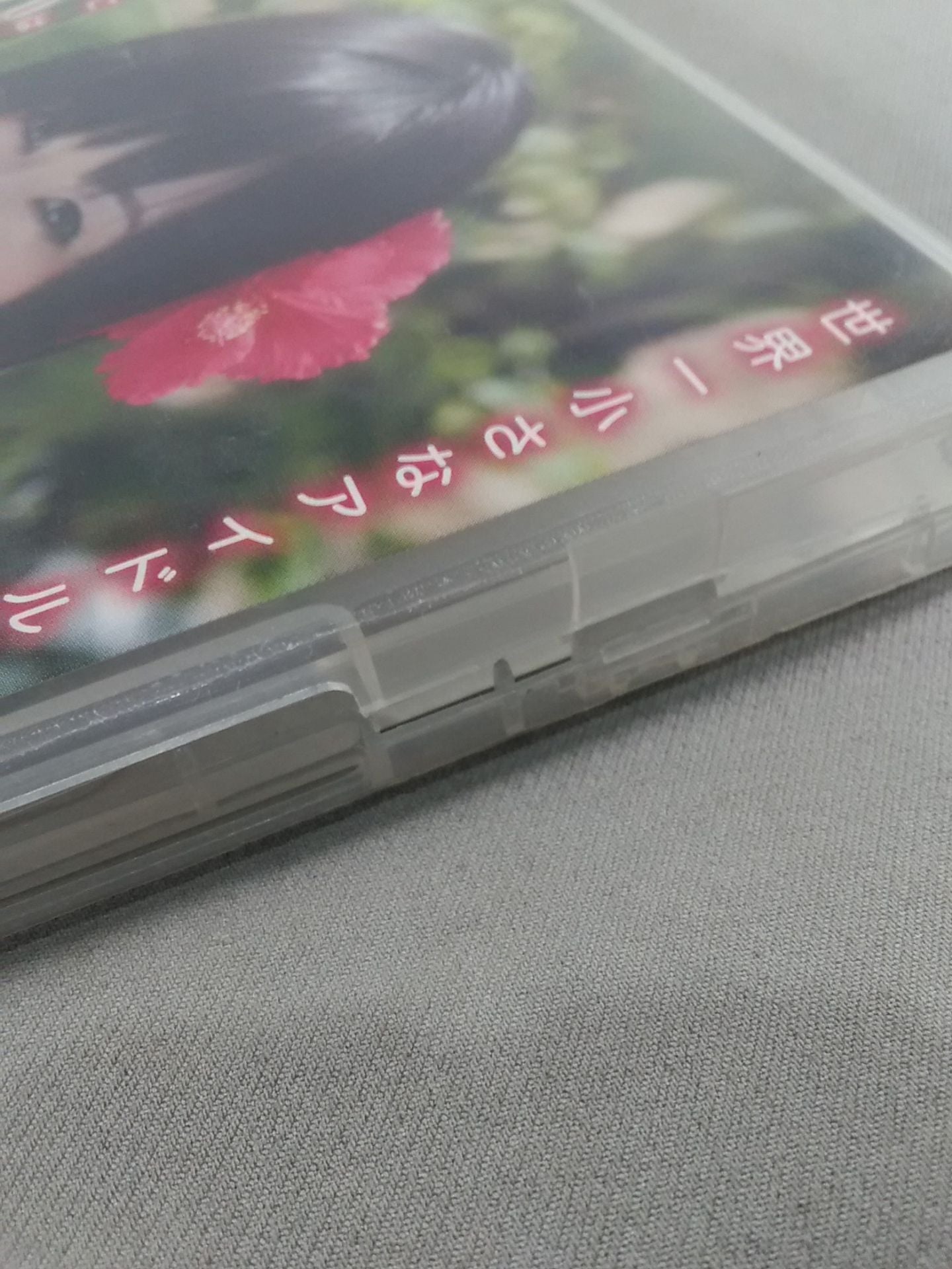 日向小陽 ~小陽日和~ にょきにょき娘のSUMMER日記2015