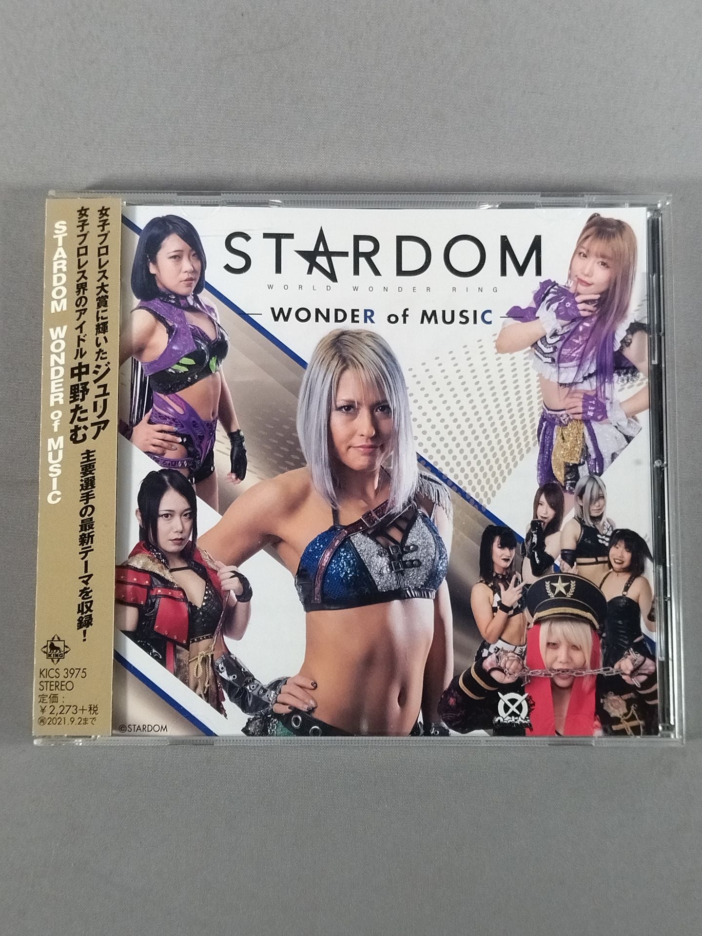 紫雷イオ ワールド・オブ・スターダム タイトル戦闘史 DVD 紫雷イオ ワールド・オブ・スターダム タイトル戦闘史 DVD