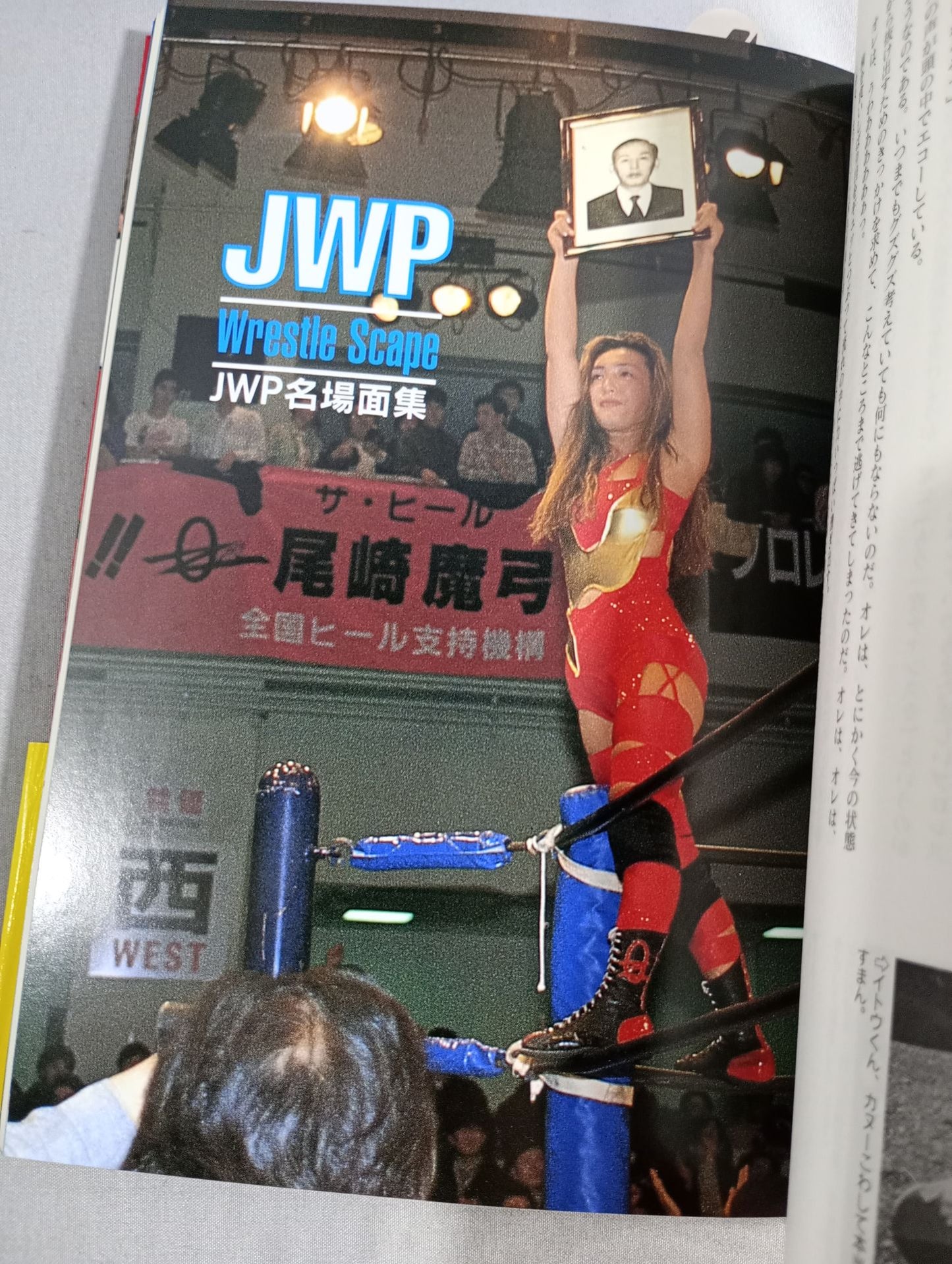 Women's Pro Wrestling Exclusive Photographer's Diary / JWP Emotional Record