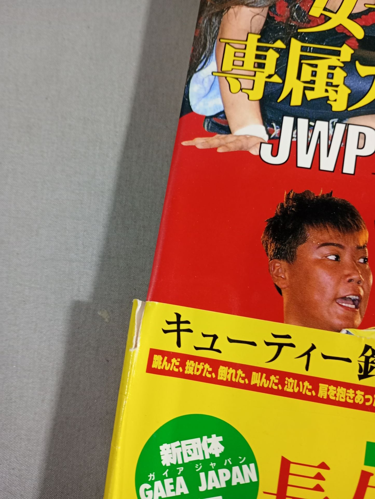 Women's Pro Wrestling Exclusive Photographer's Diary / JWP Emotional Record