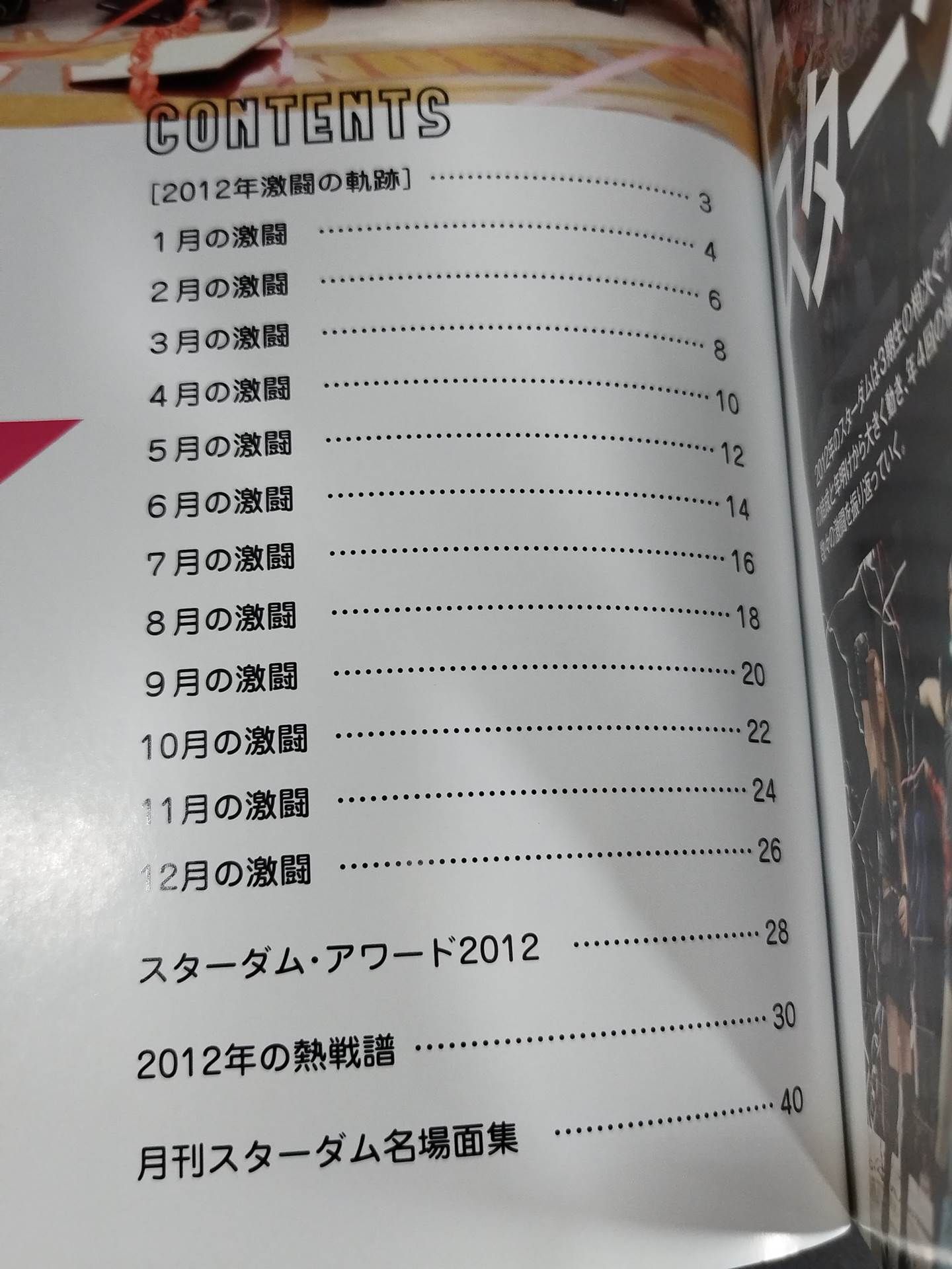 STARDOM YEAR BOOK2012