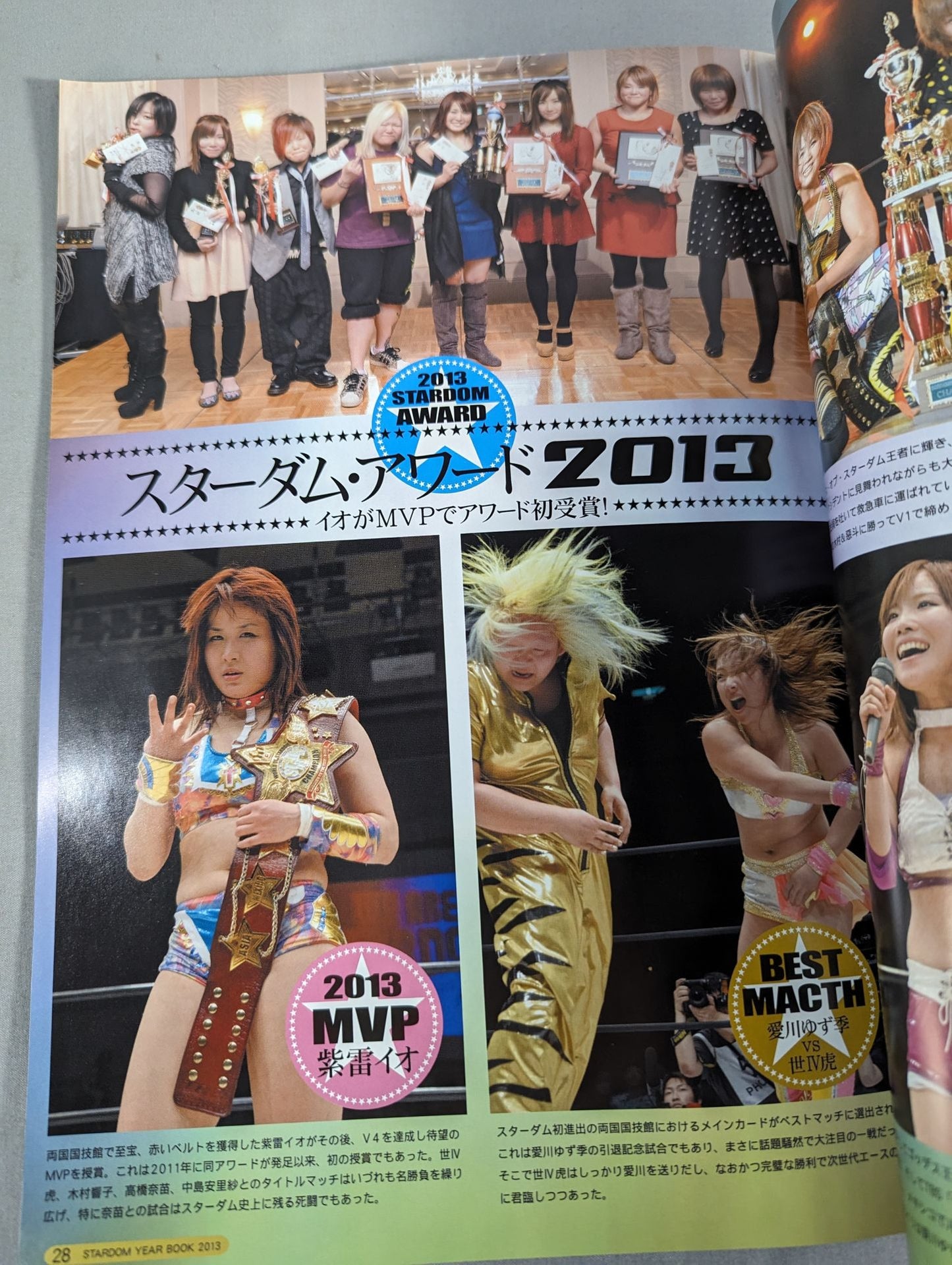 STARDOM YEAR BOOK2013