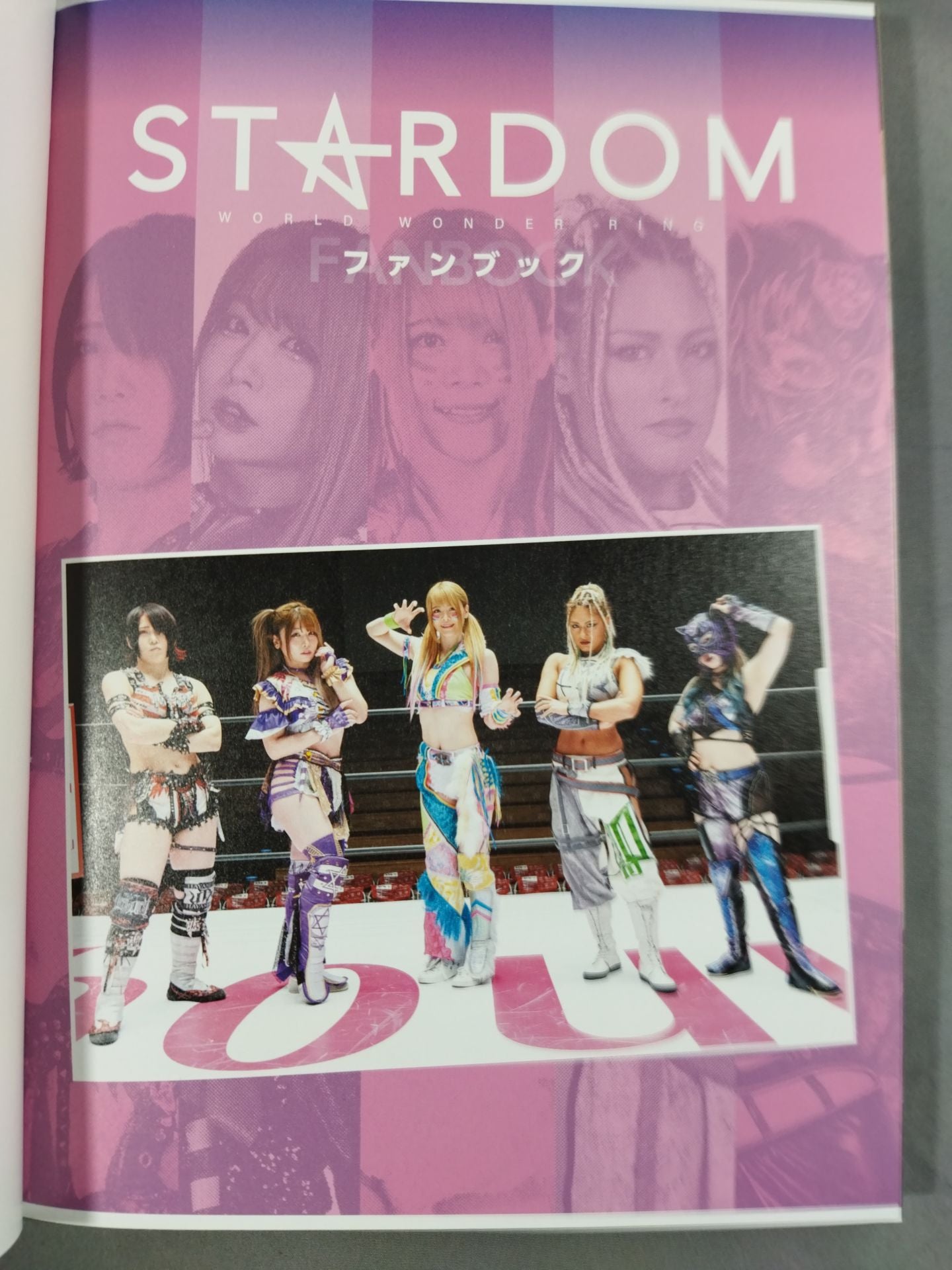 スターダム ファンブック / STARDOM FANBOOK